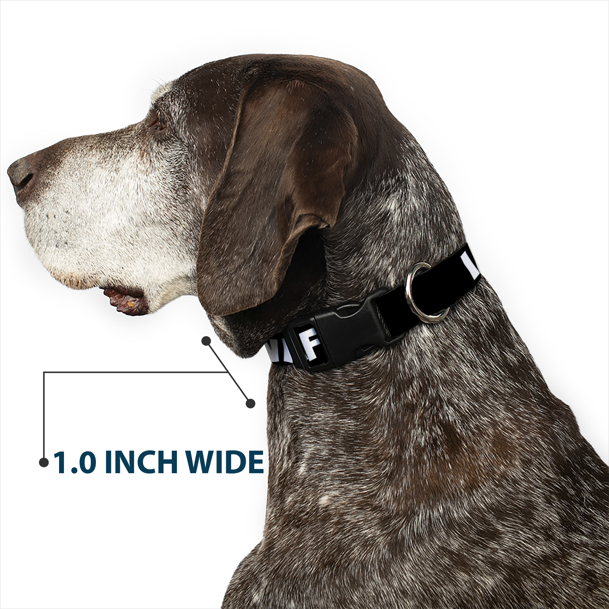 Plastic Clip Collar I "Heart" WAFFLES Text Large 15-24"