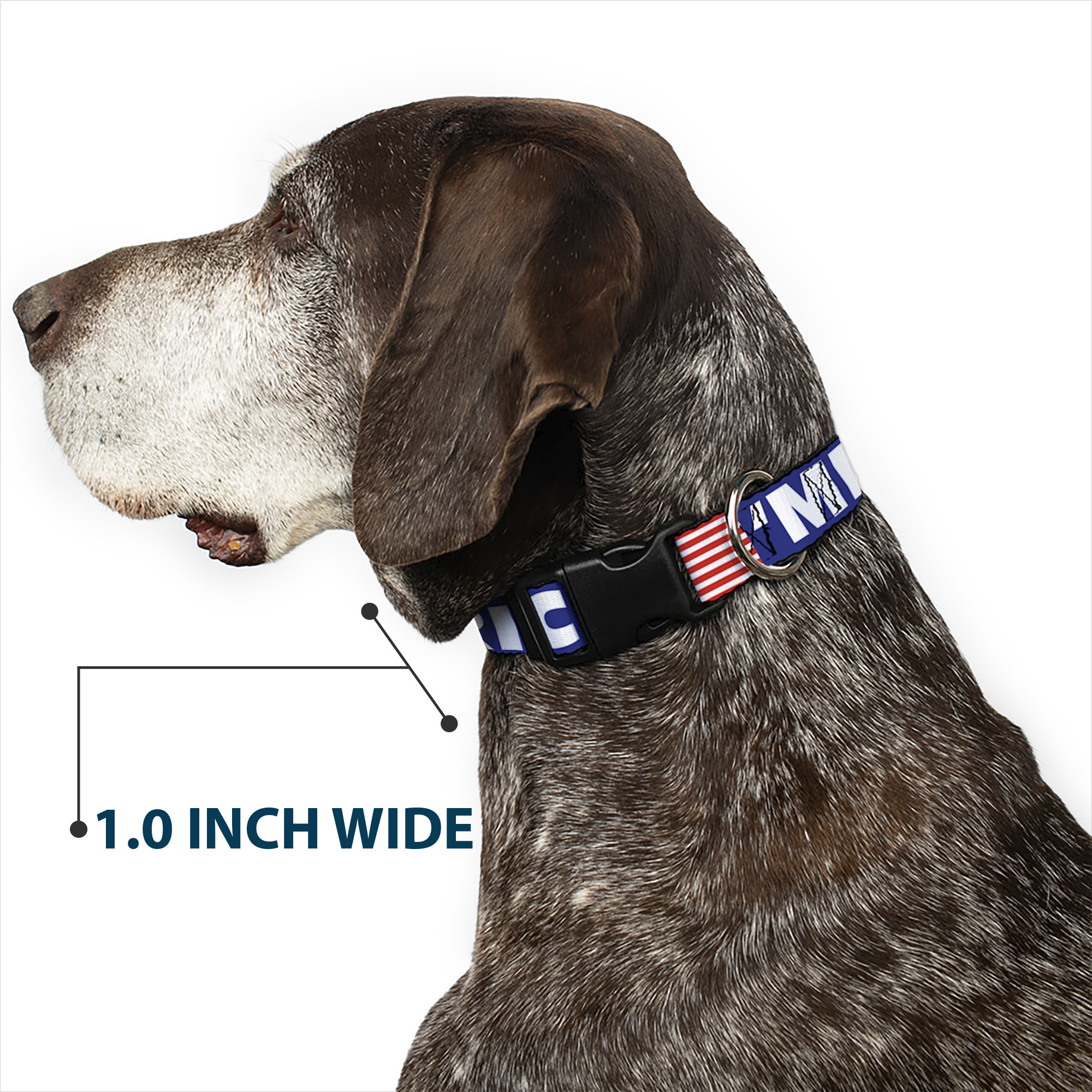 Plastic Clip Collar MERICA/US Flag Blue/White/Red Medium 11-16.5"