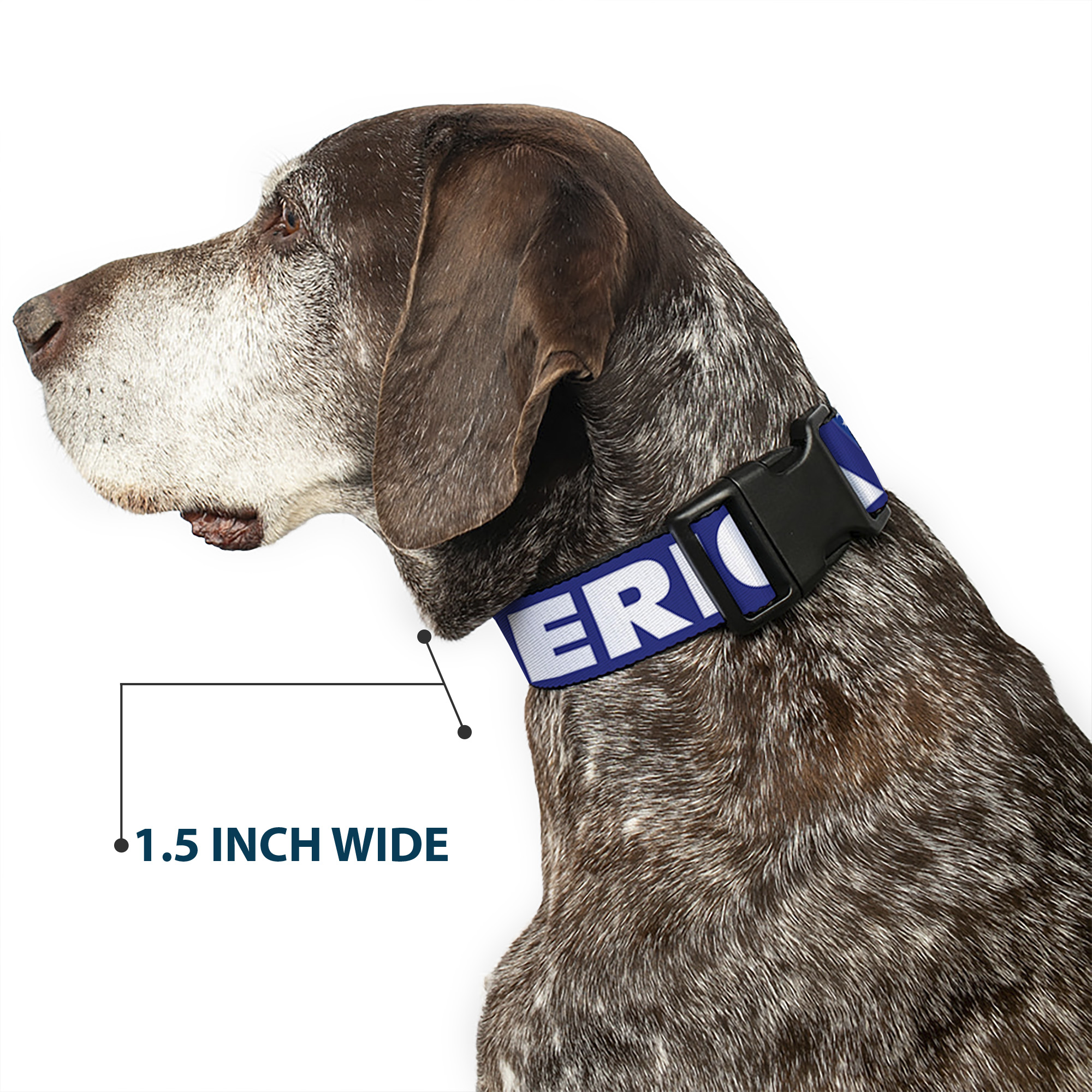 Plastic Clip Collar MERICA/US Flag Blue/White/Red Medium 11-16.5"