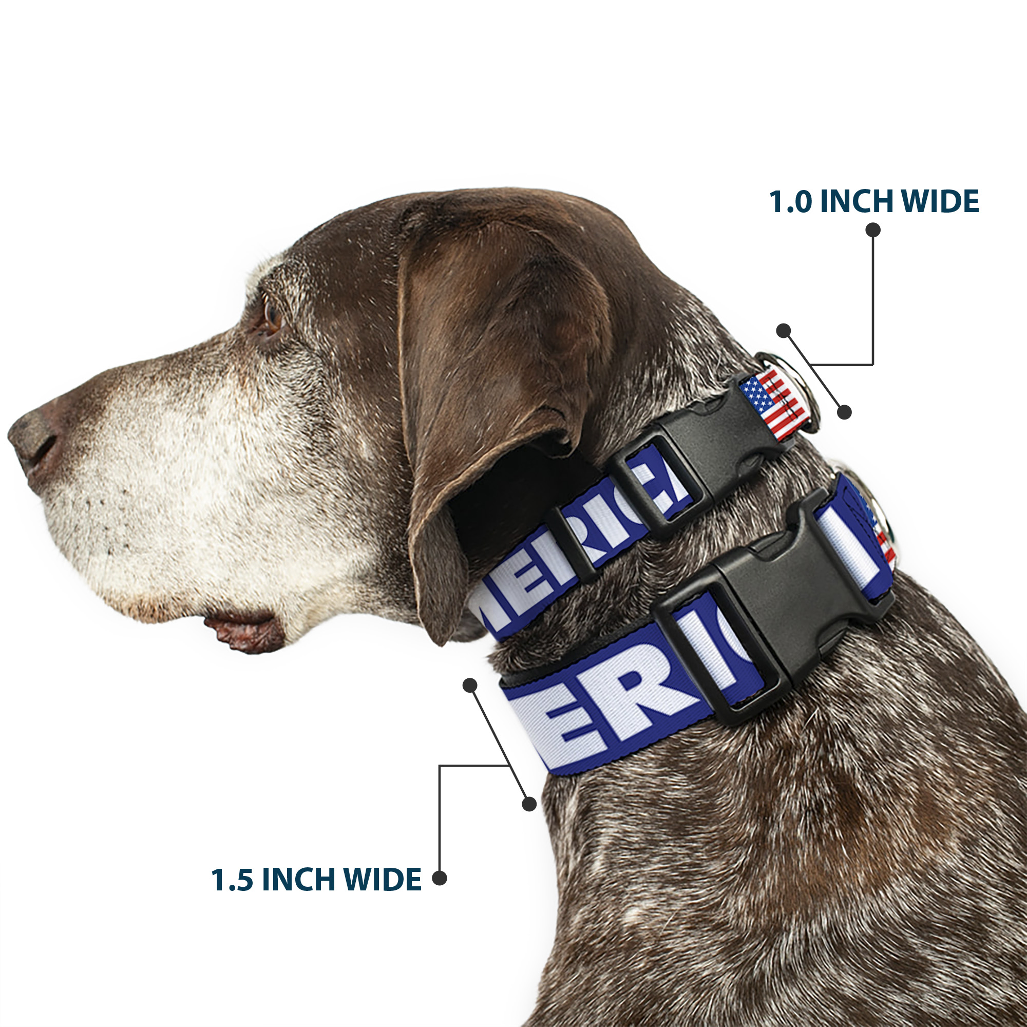 Plastic Clip Collar MERICA/US Flag Blue/White/Red Medium 11-16.5"