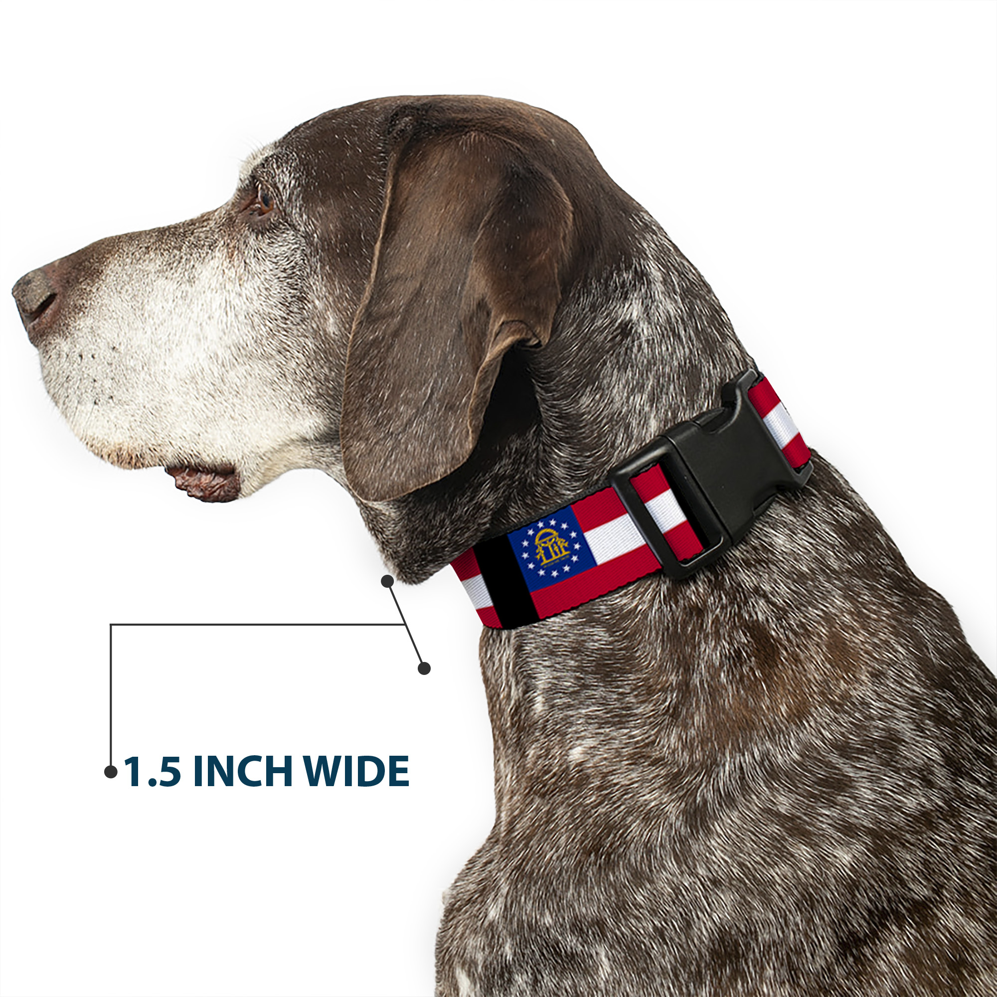 Plastic Clip Collar Georgia Flags/Black Medium 11-16.5"