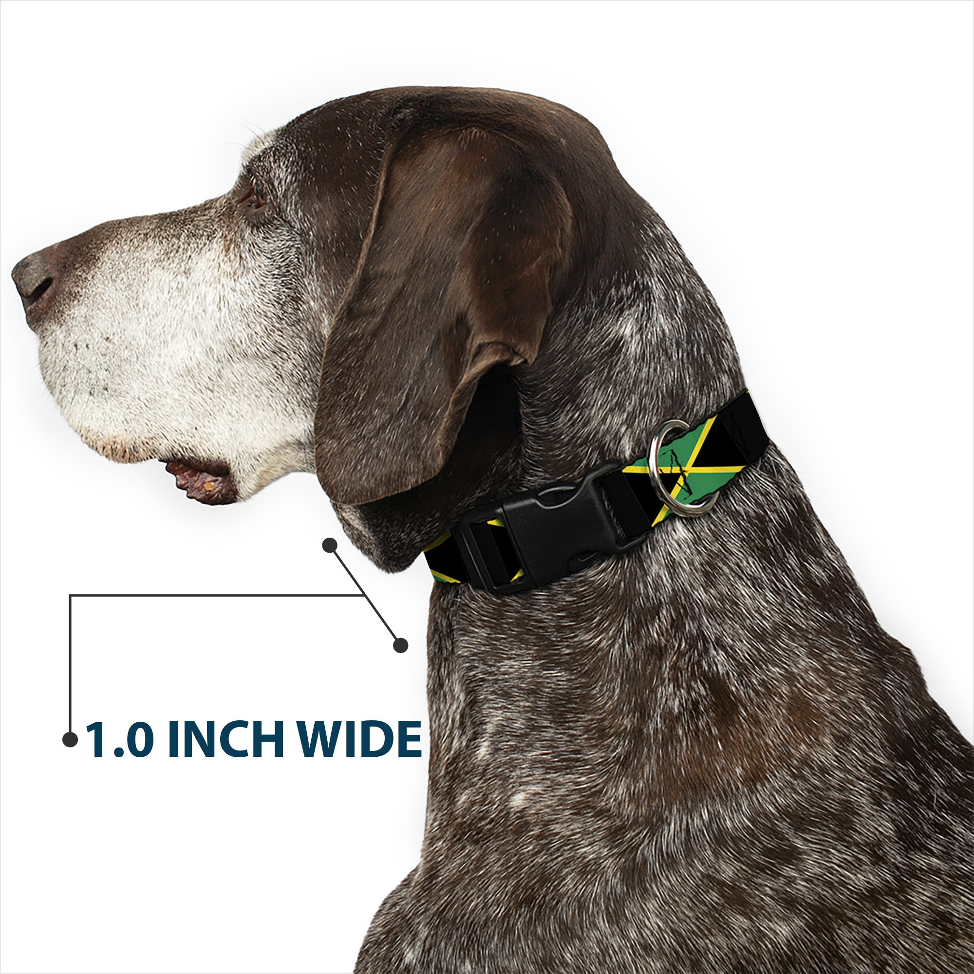 Plastic Clip Collar Jamaica Flags NARROW-Small 7-8.5"