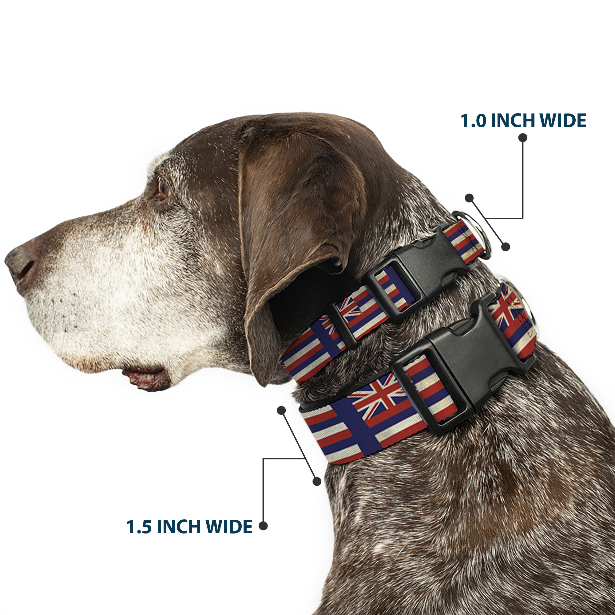 Plastic Clip Collar Hawaii Flags2/Navy NARROW-Medium 8.5-12"