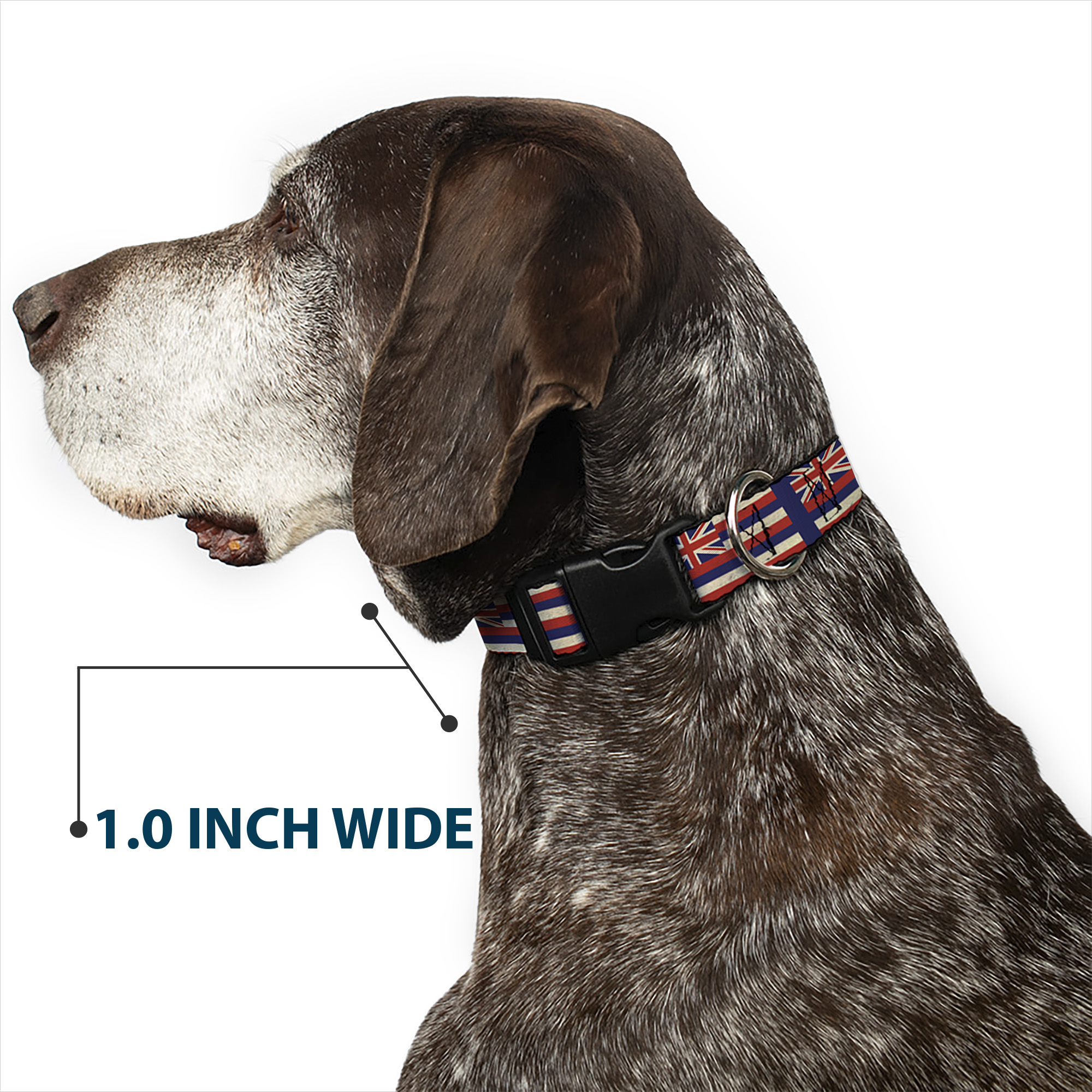Plastic Clip Collar Hawaii Flags2/Navy NARROW-Medium 8.5-12"
