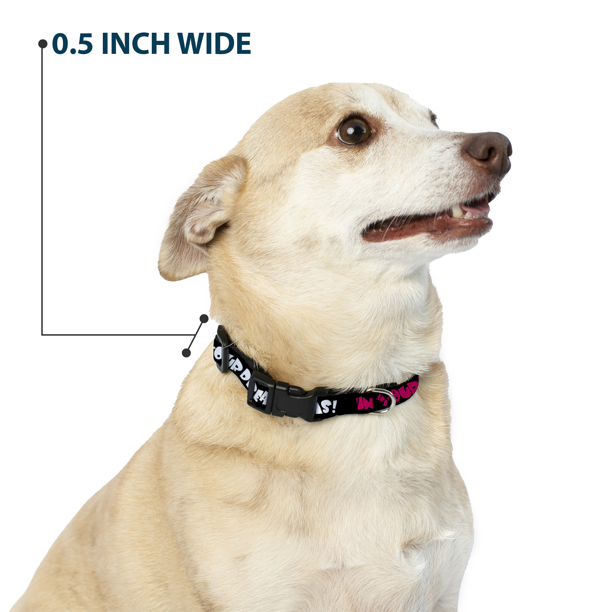 Plastic Clip Collar IN YOUR DREAMS! Black/White/Pink Medium 11-16.5" (US IMPORT)