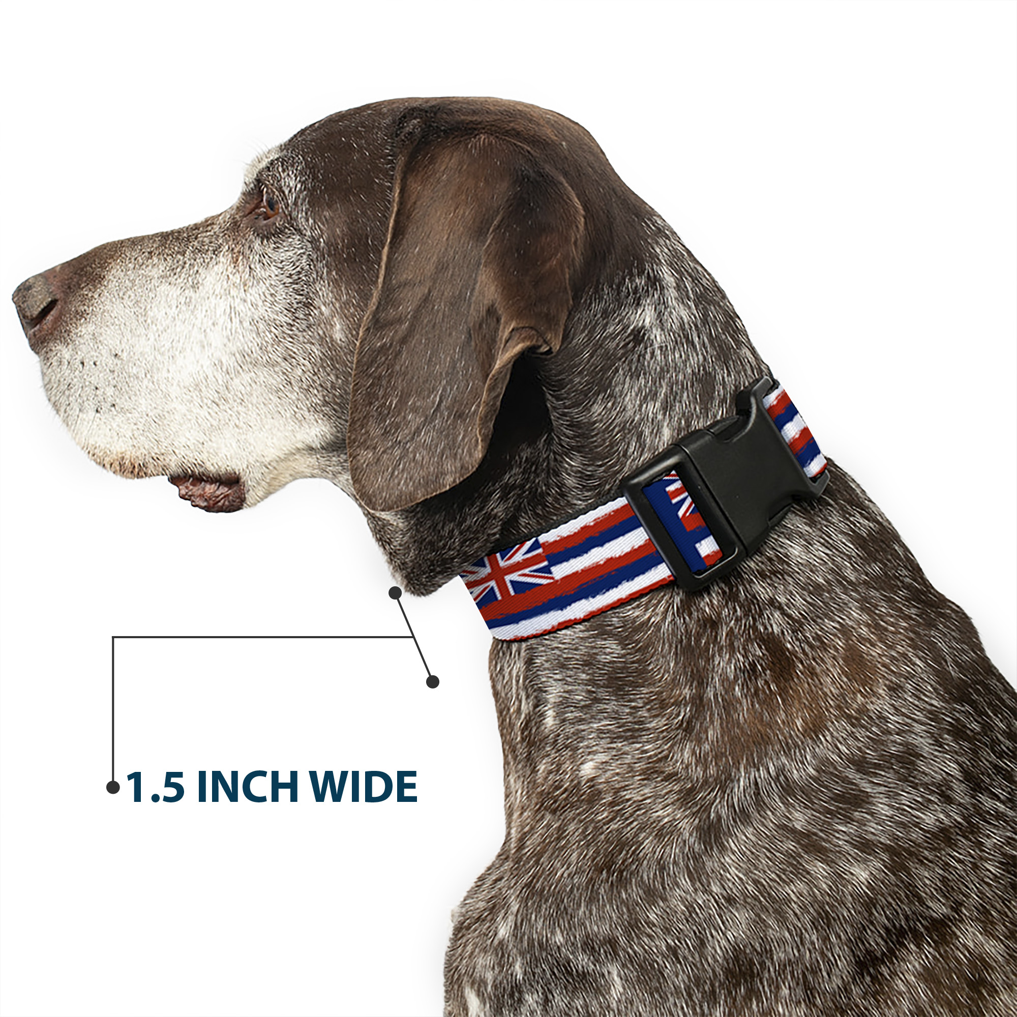 Plastic Clip Collar Hawaii Flags Weathered Blue/Red/White Medium 11-16.5"