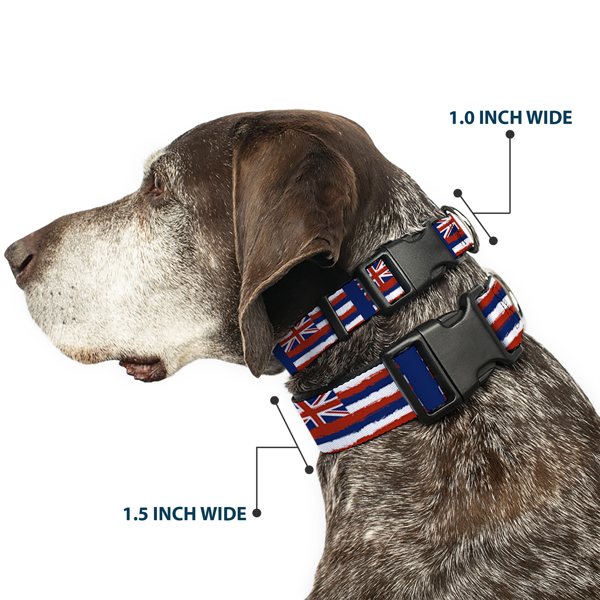 Plastic Clip Collar Hawaii Flags Weathered Blue/Red/White Medium 11-16.5"