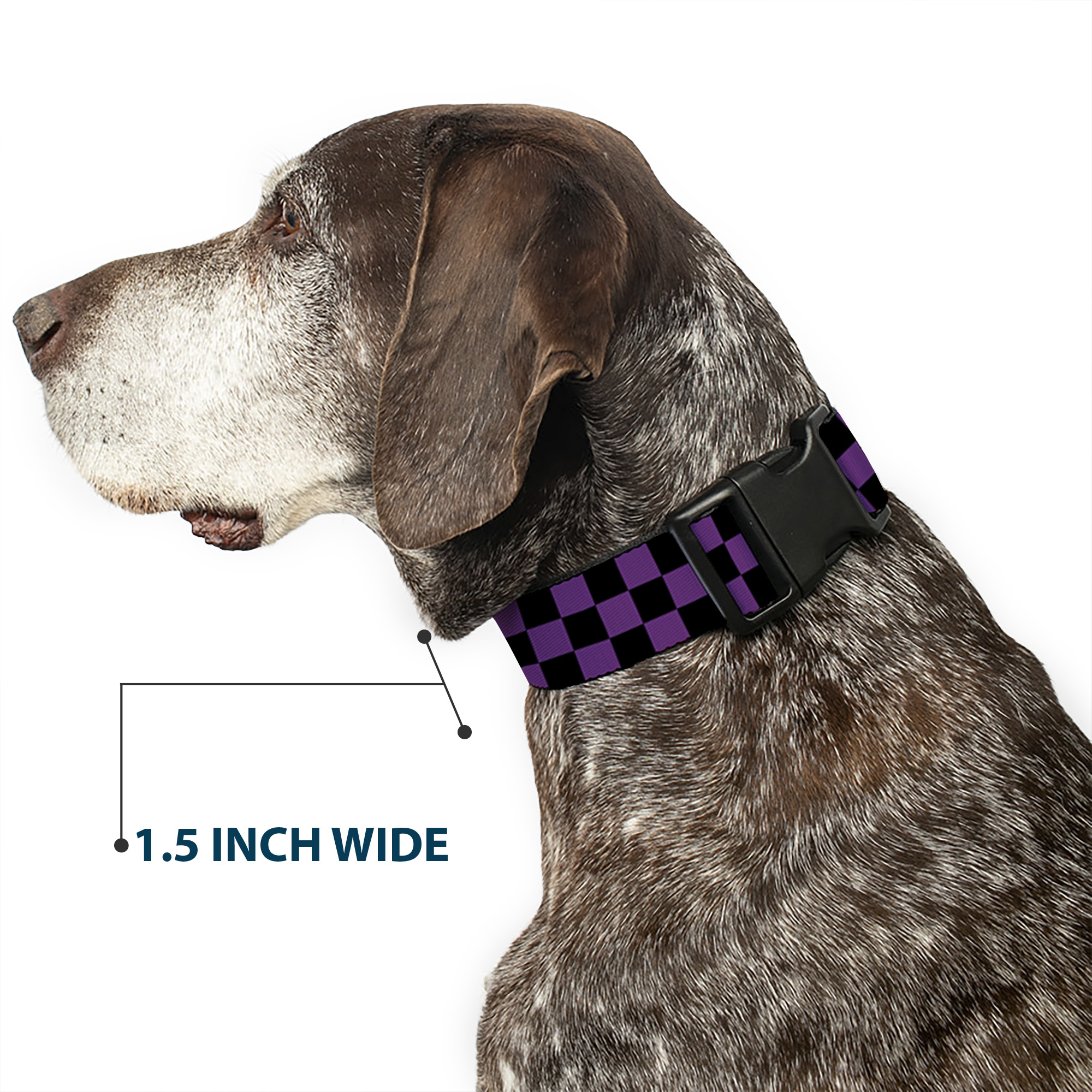 Plastic Clip Collar Checker Black/Purple Medium 11-16.5"