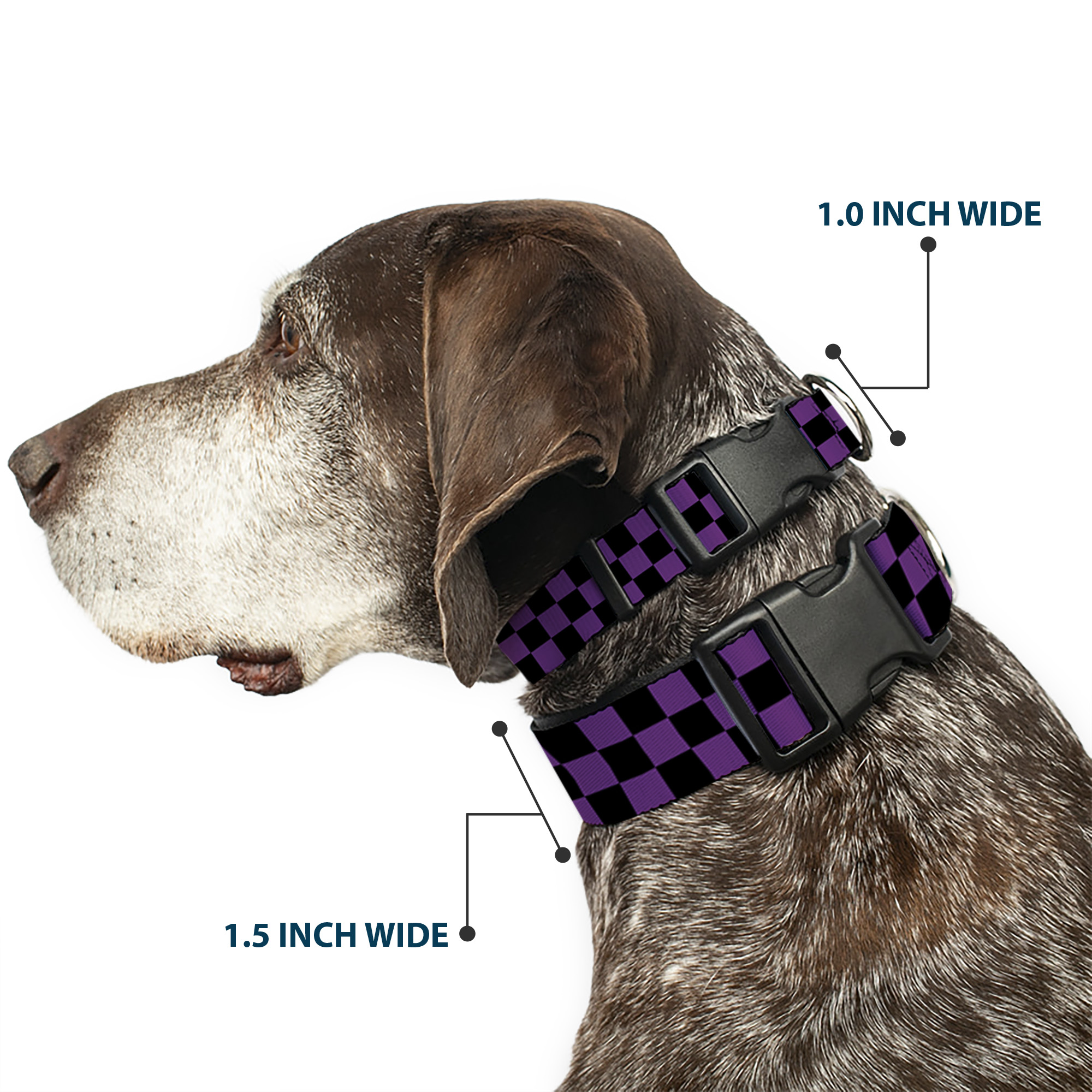 Plastic Clip Collar Checker Black/Purple Medium 11-16.5"