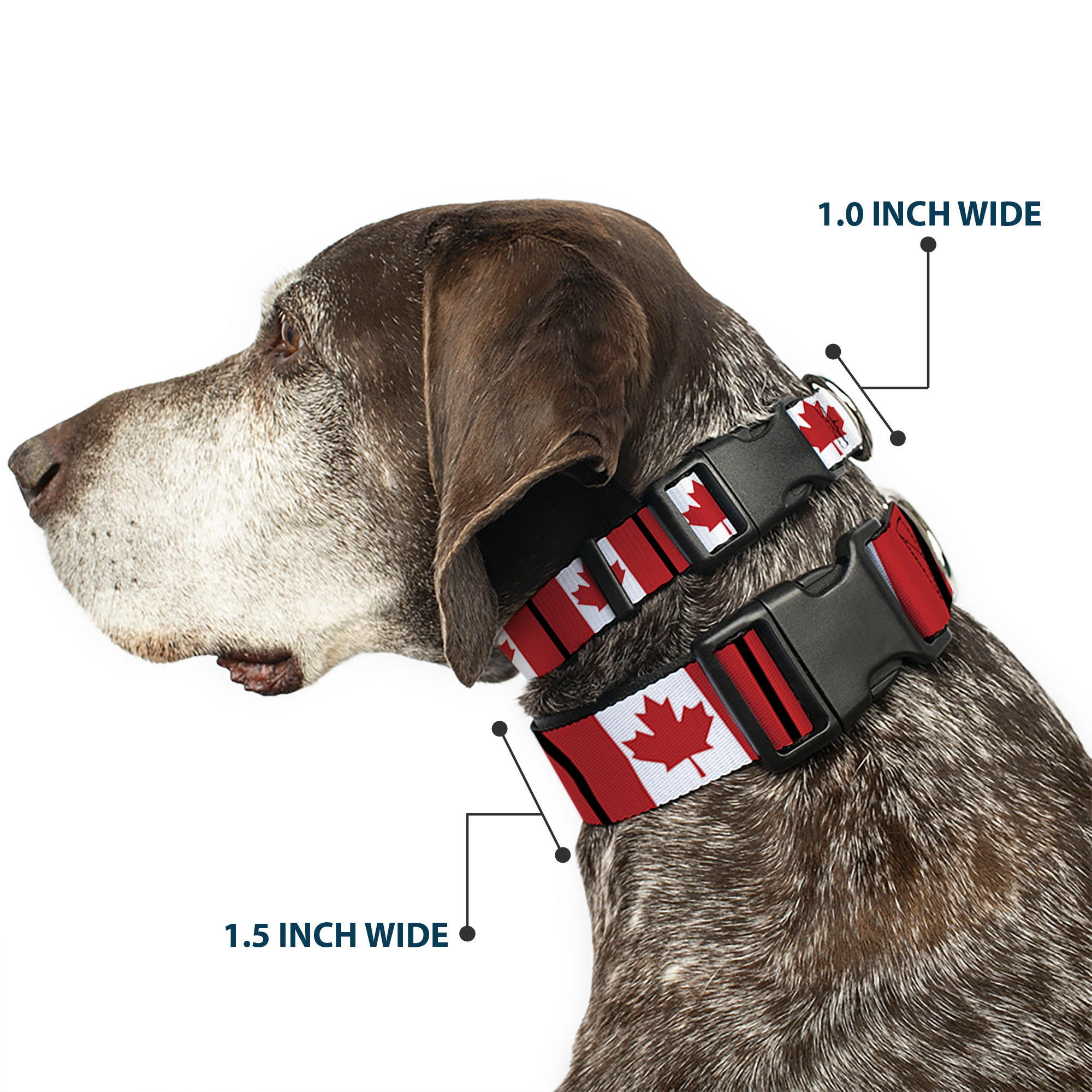 Plastic Clip Collar Canada Flags Large 15-24"
