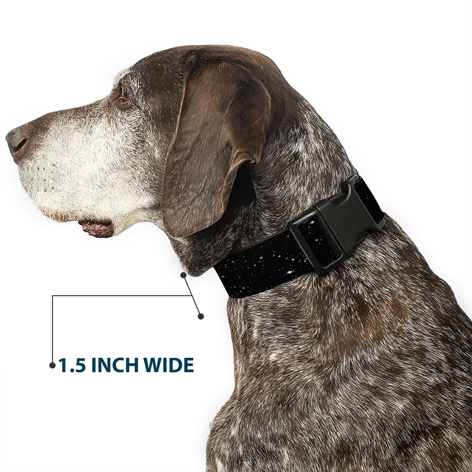 Plastic Clip Collar Deep Space2 Black/White Medium 11-16.5"