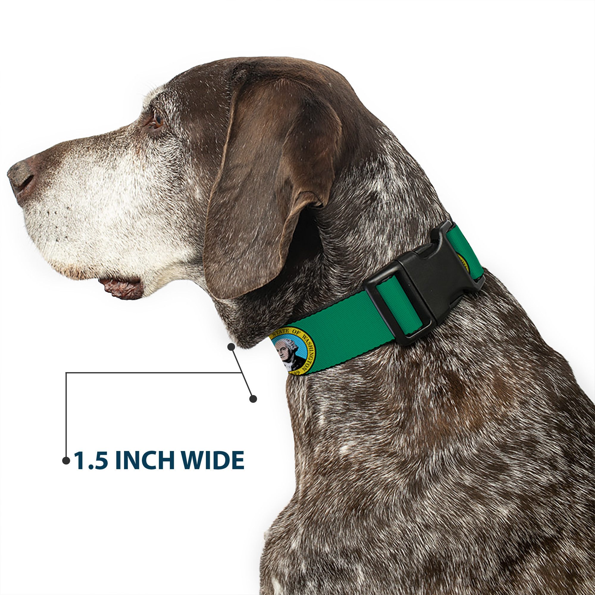 Plastic Clip Collar Washington Flag Large 15-24"
