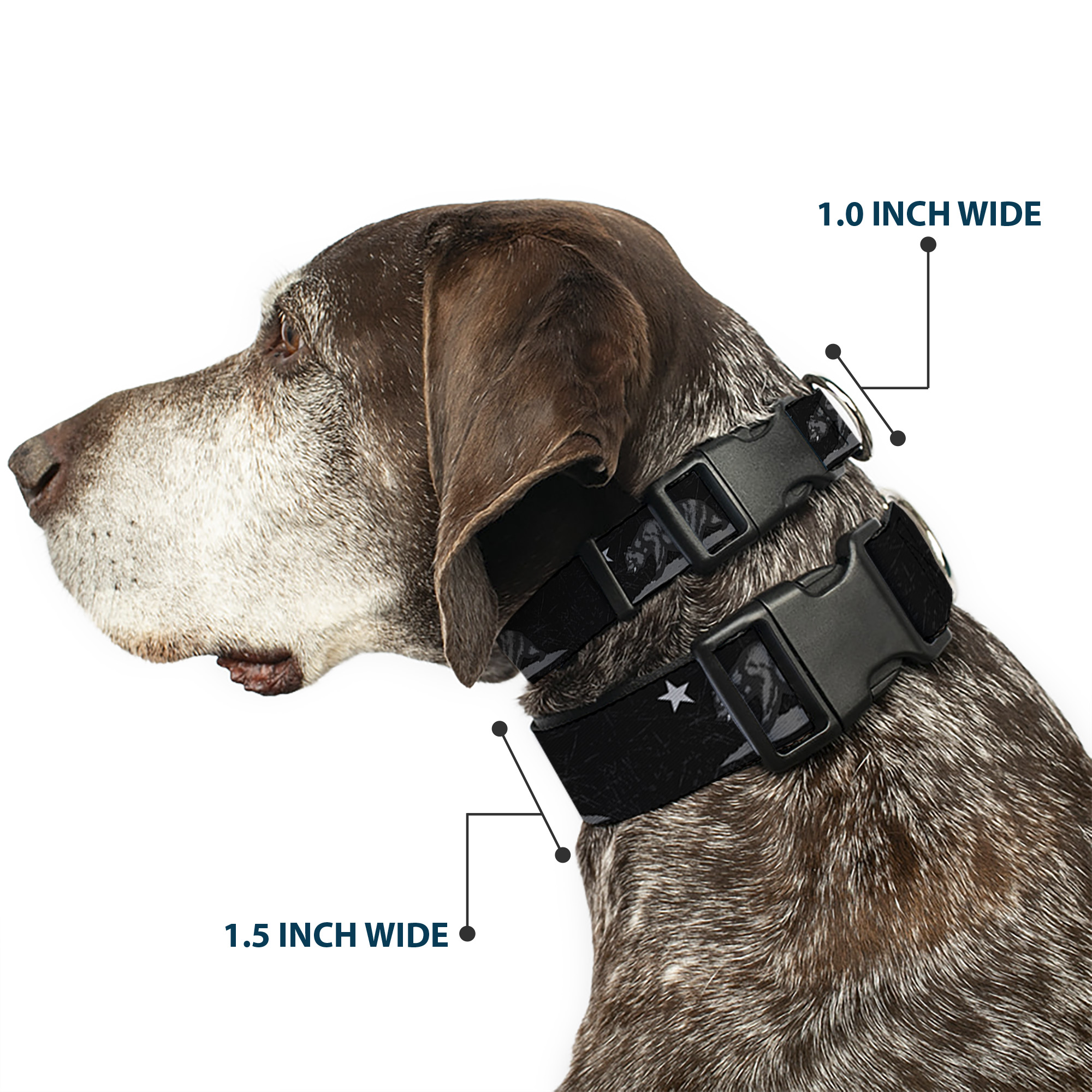 Plastic Clip Collar Cali Bear Black/Grays Small 9.5-13"