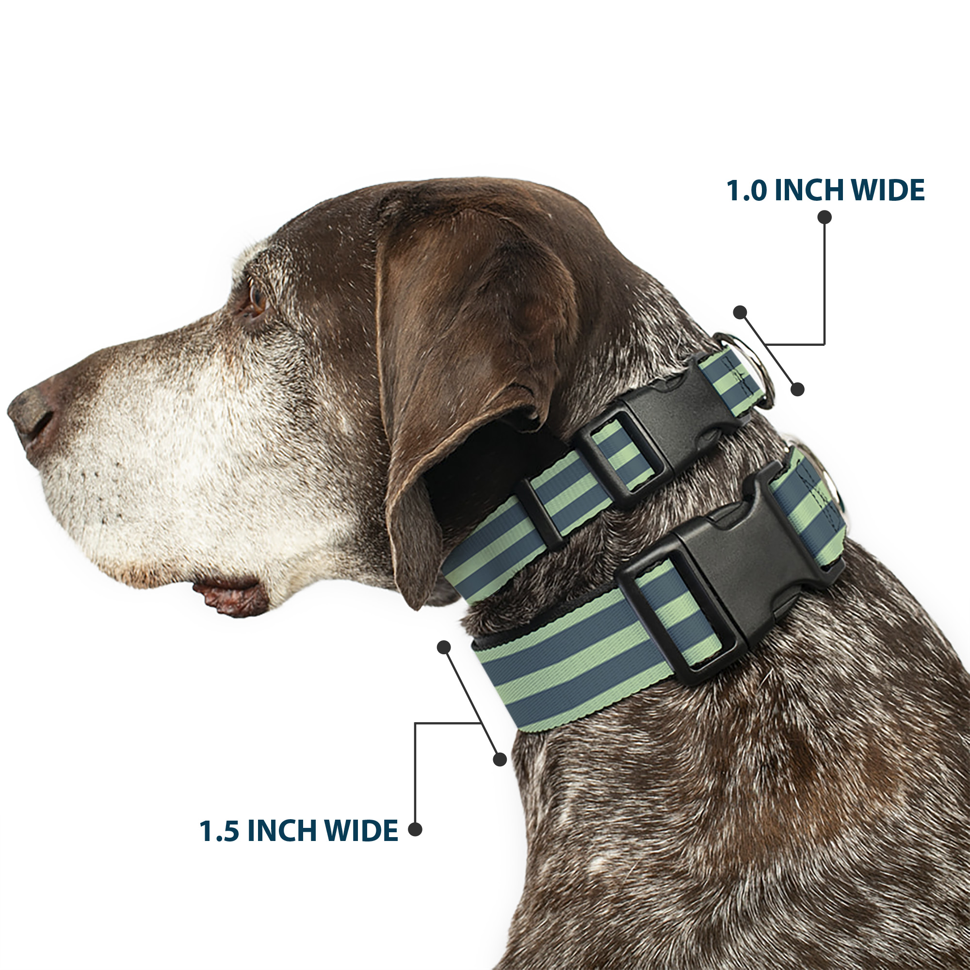 Plastic Clip Collar Stripes Pastel Green/Olive NARROW-Large 9.5-14.5 (US IMPORT) - Produktbild 2