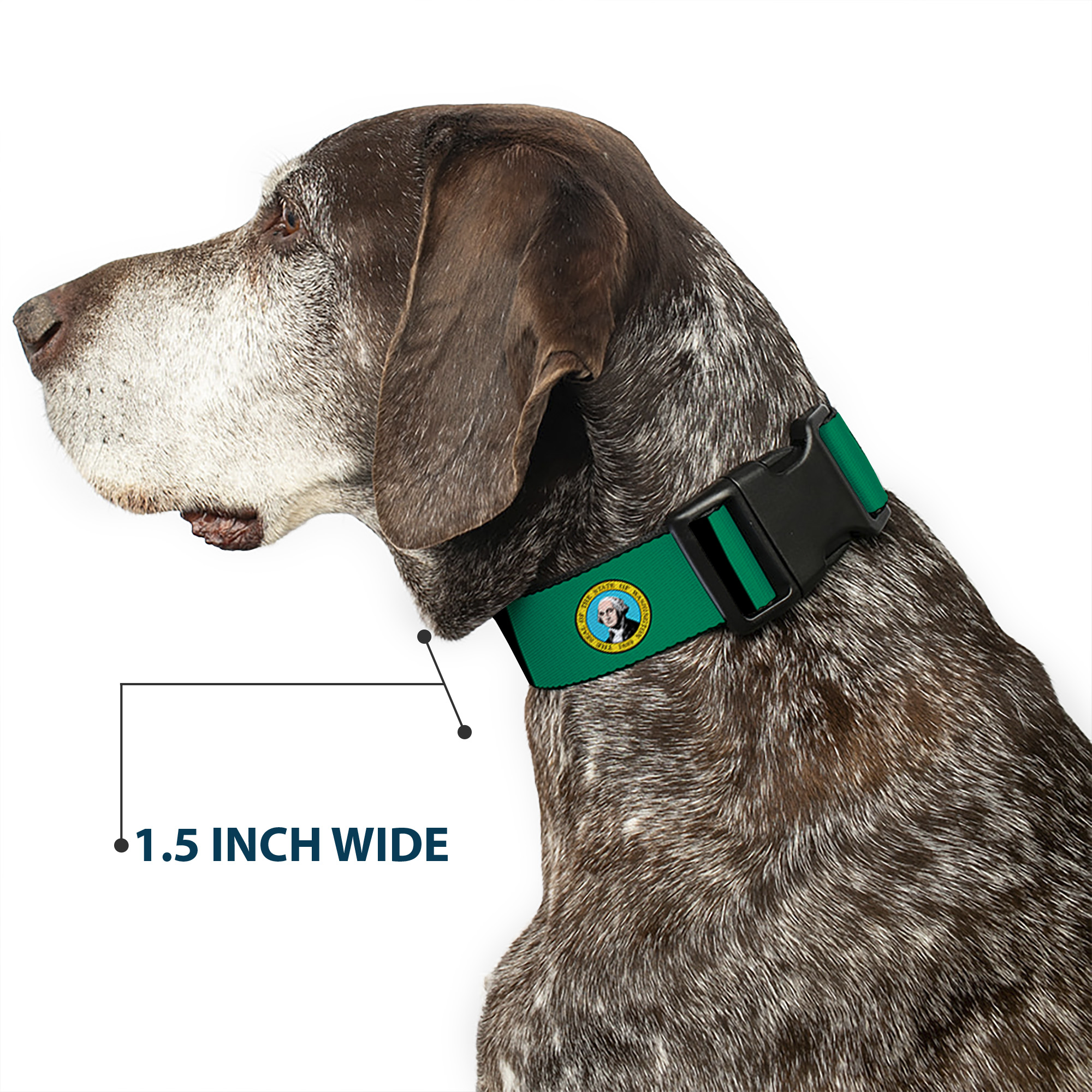 Plastic Clip Collar Washington Flags/Black Large 15-24"