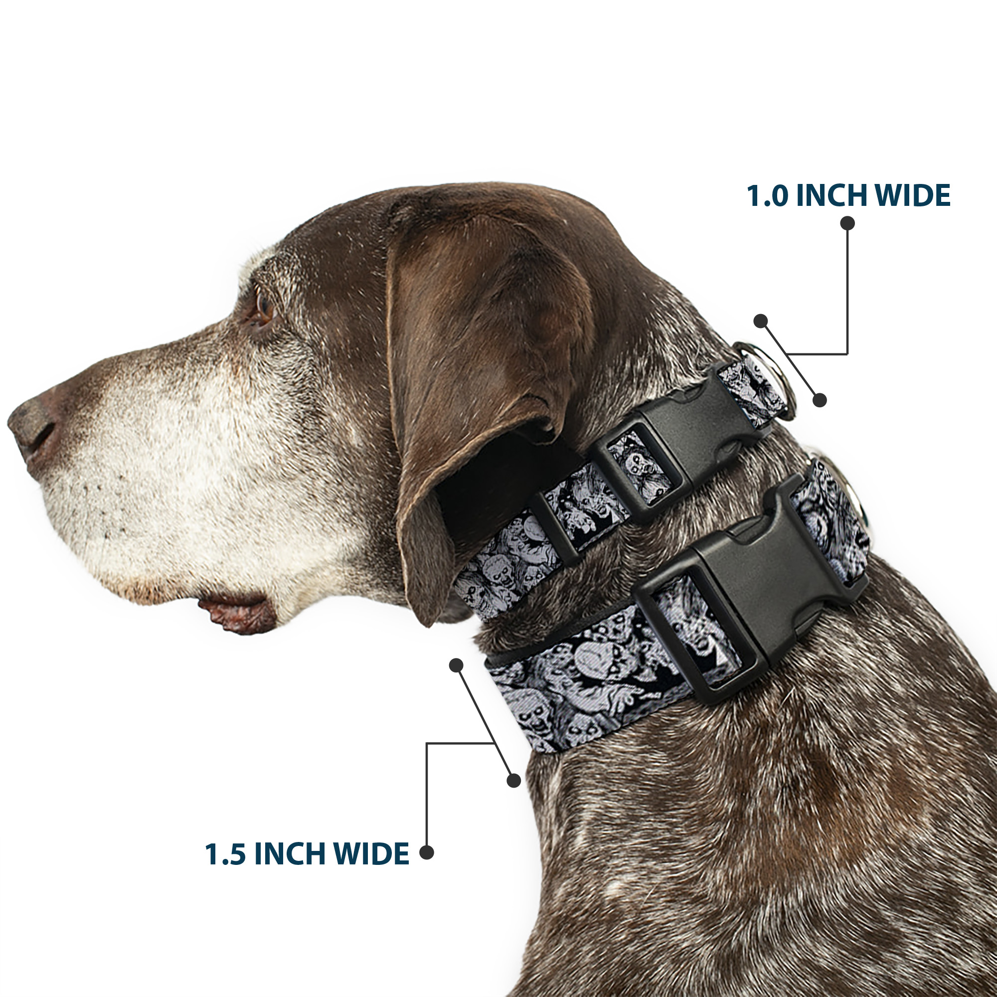Plastic Clip Collar Zombie Skulls Sketch Small 9.5-13"