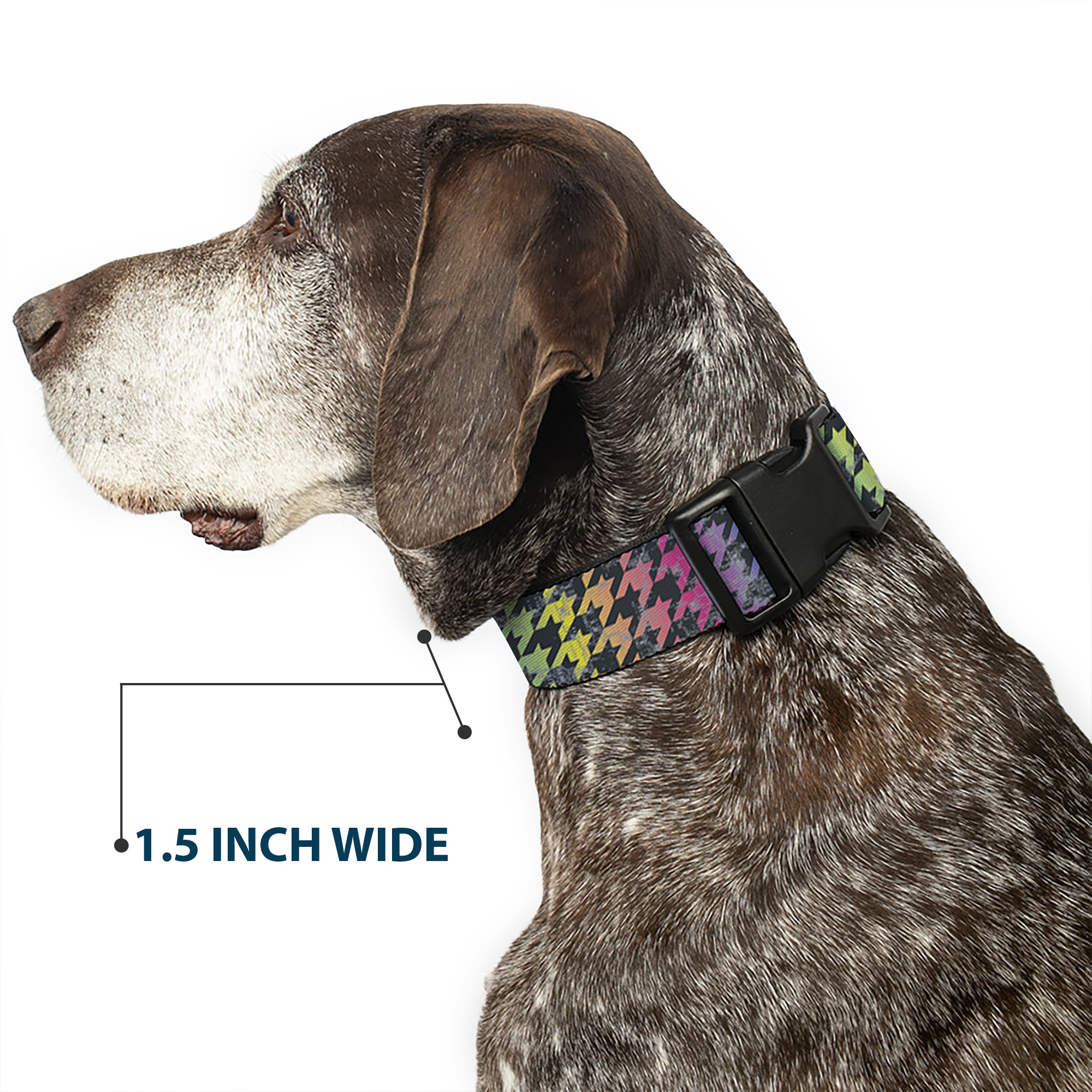 Plastic Clip Collar Houndstooth Black/Rainbow Small 9.5-13"