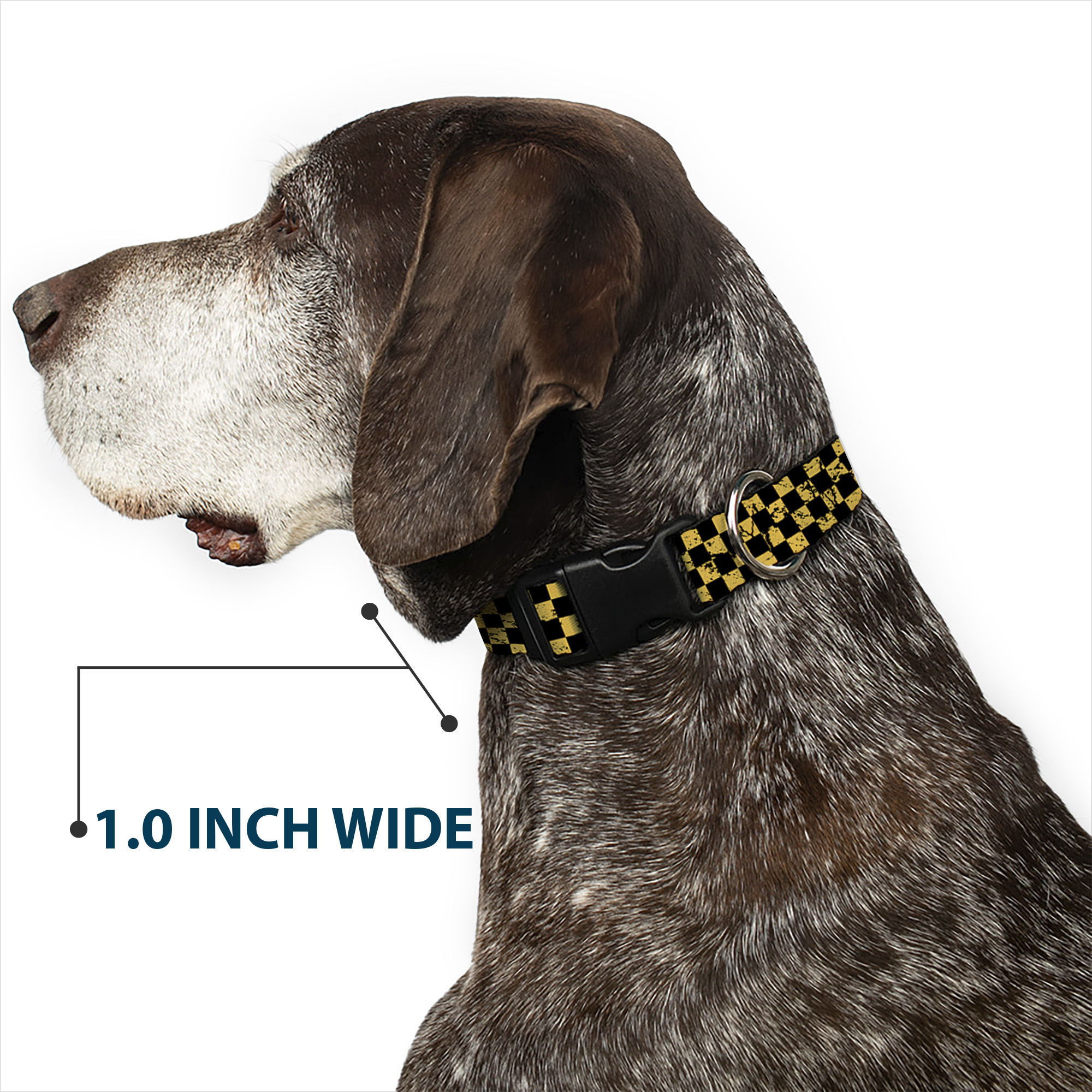Plastic Clip Collar Checker Weathered Black/Yellow Small 9.5-13"