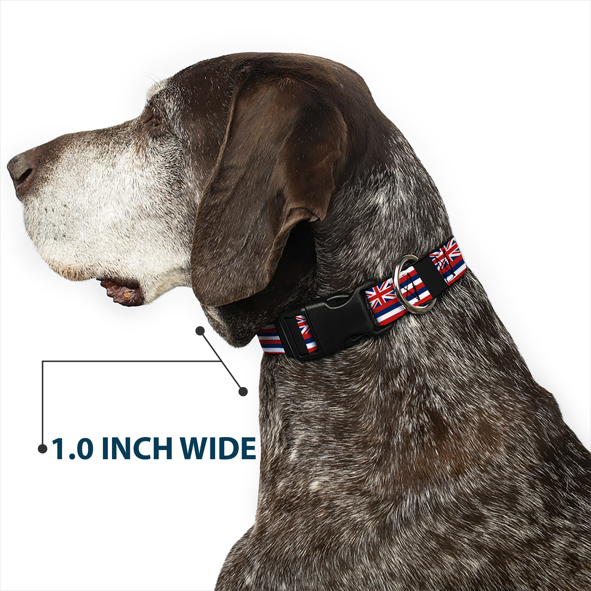 Plastic Clip Collar Hawaii Flags Small 9.5-13"