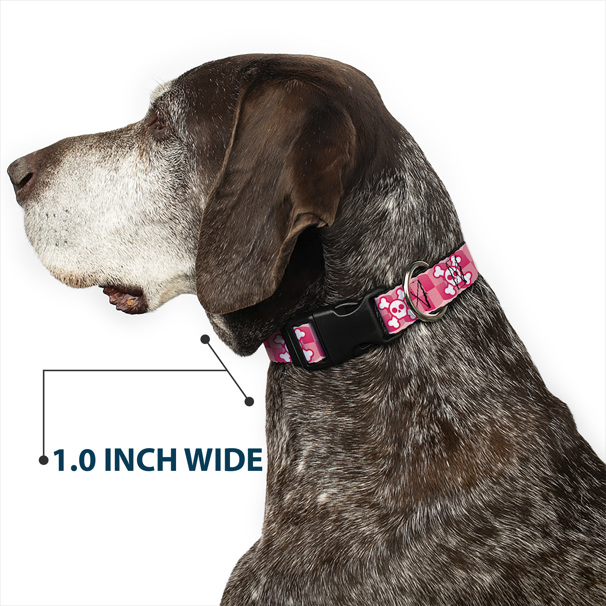 Plastic Clip Collar Cute Skulls w/Checkers Pinks/White Large 15-24"