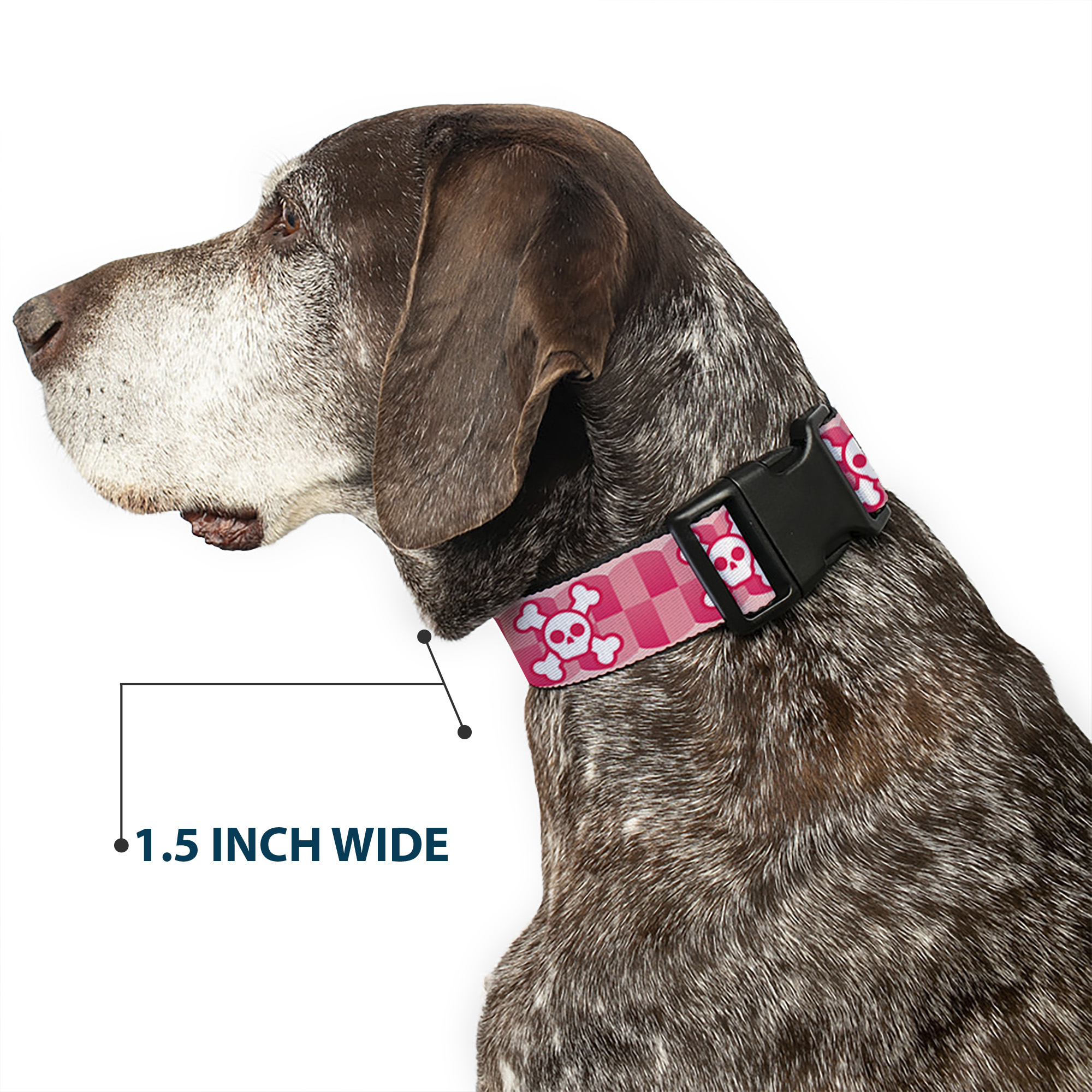 Plastic Clip Collar Cute Skulls w/Checkers Pinks/White Large 15-24"