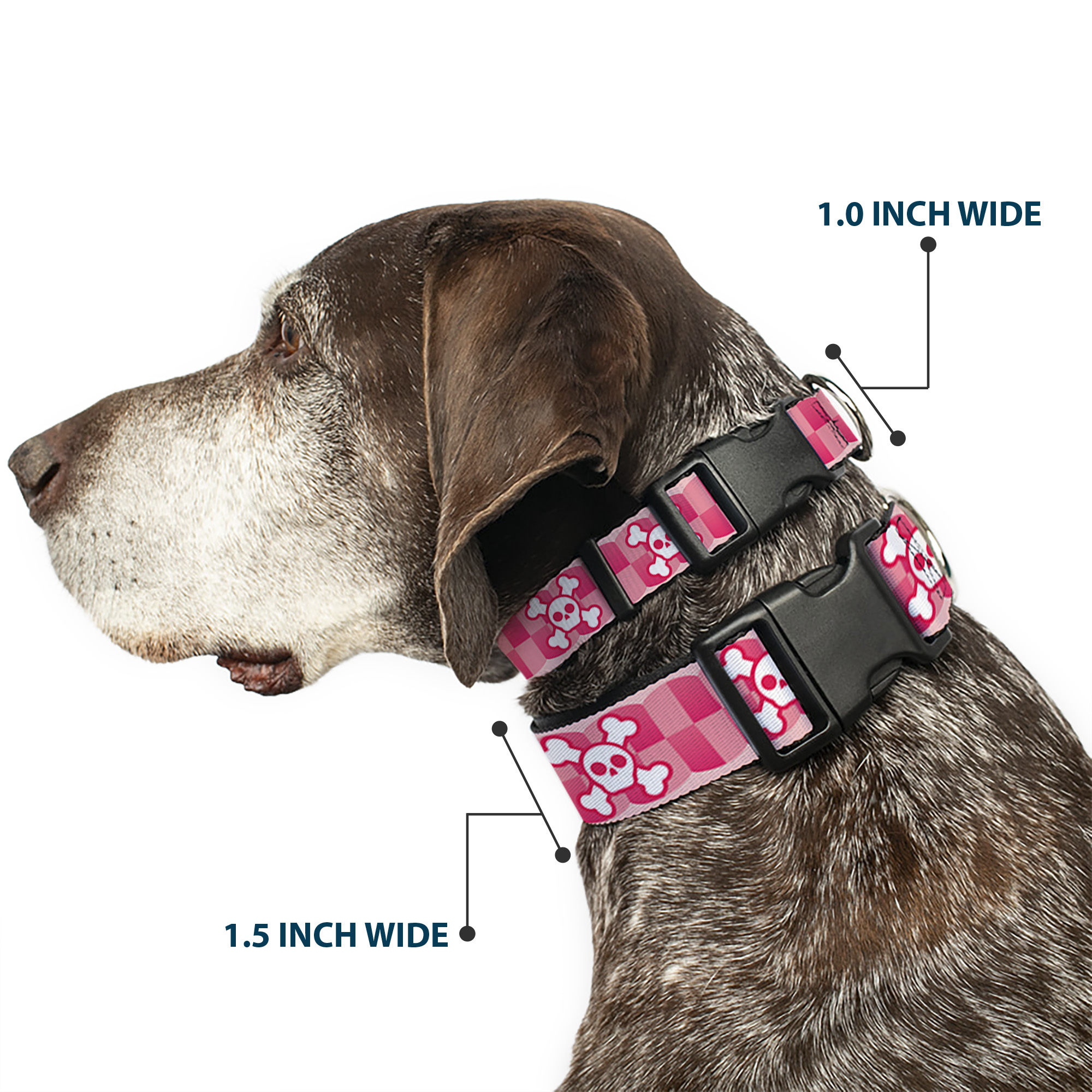 Plastic Clip Collar Cute Skulls w/Checkers Pinks/White Large 15-24"