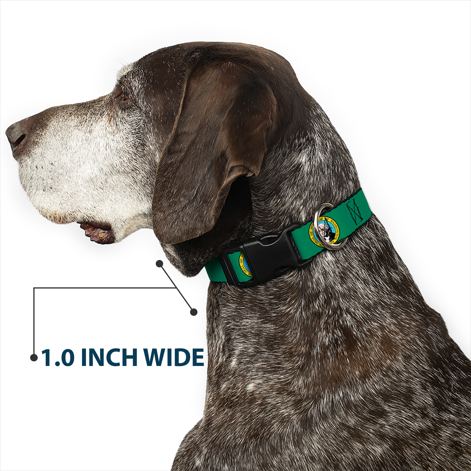 Plastic Clip Collar Washington Flag NARROW-Medium 8.5-12"