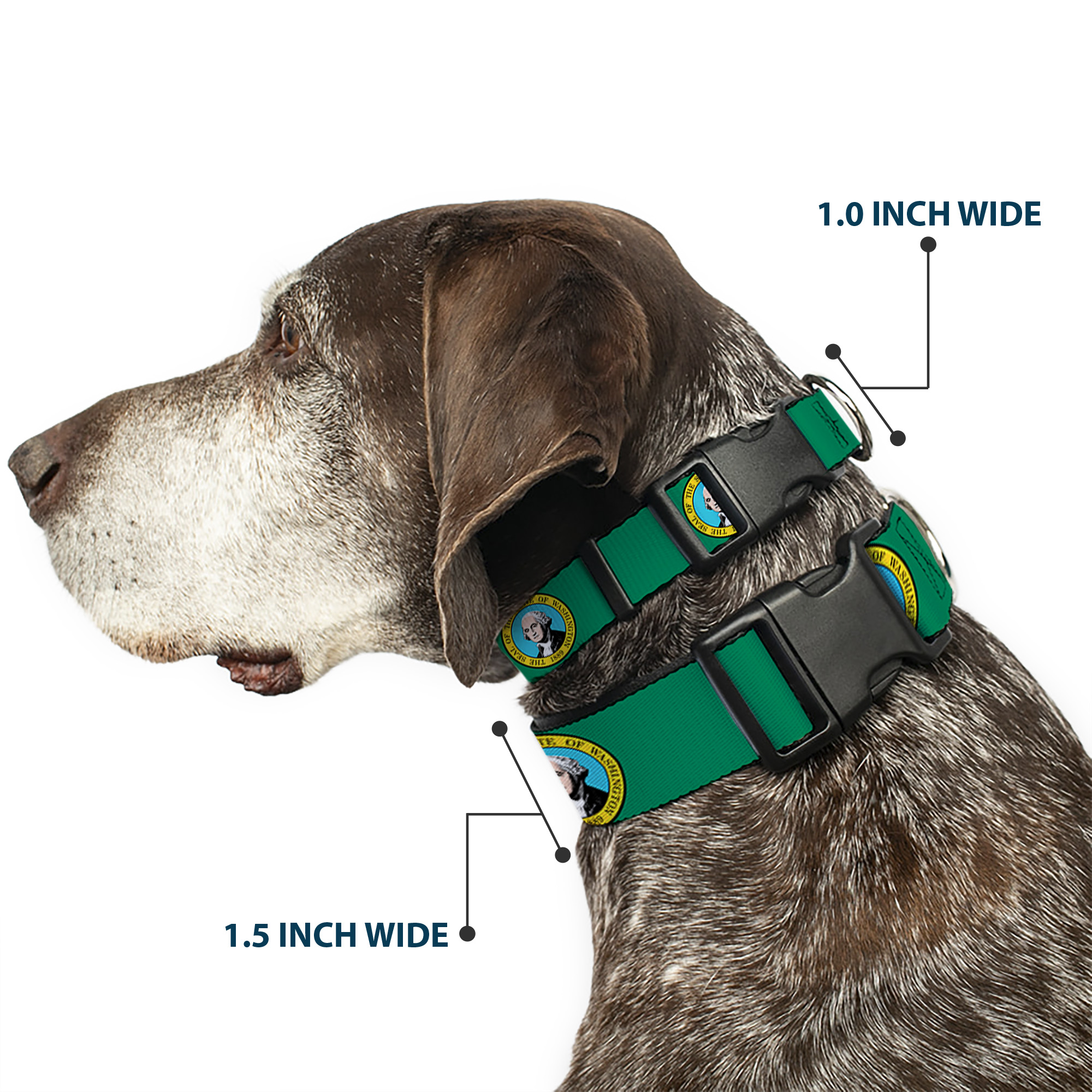 Plastic Clip Collar Washington Flag NARROW-Medium 8.5-12"