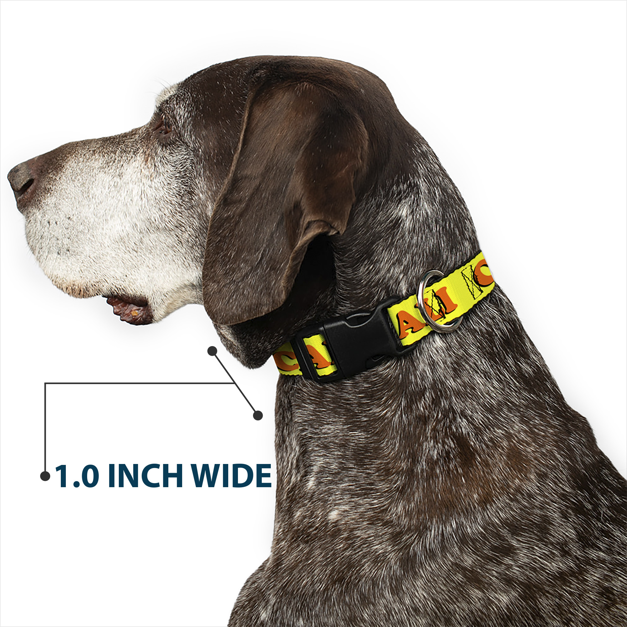Plastic Clip Collar CALI Yellow/Orange Small 9.5-13"