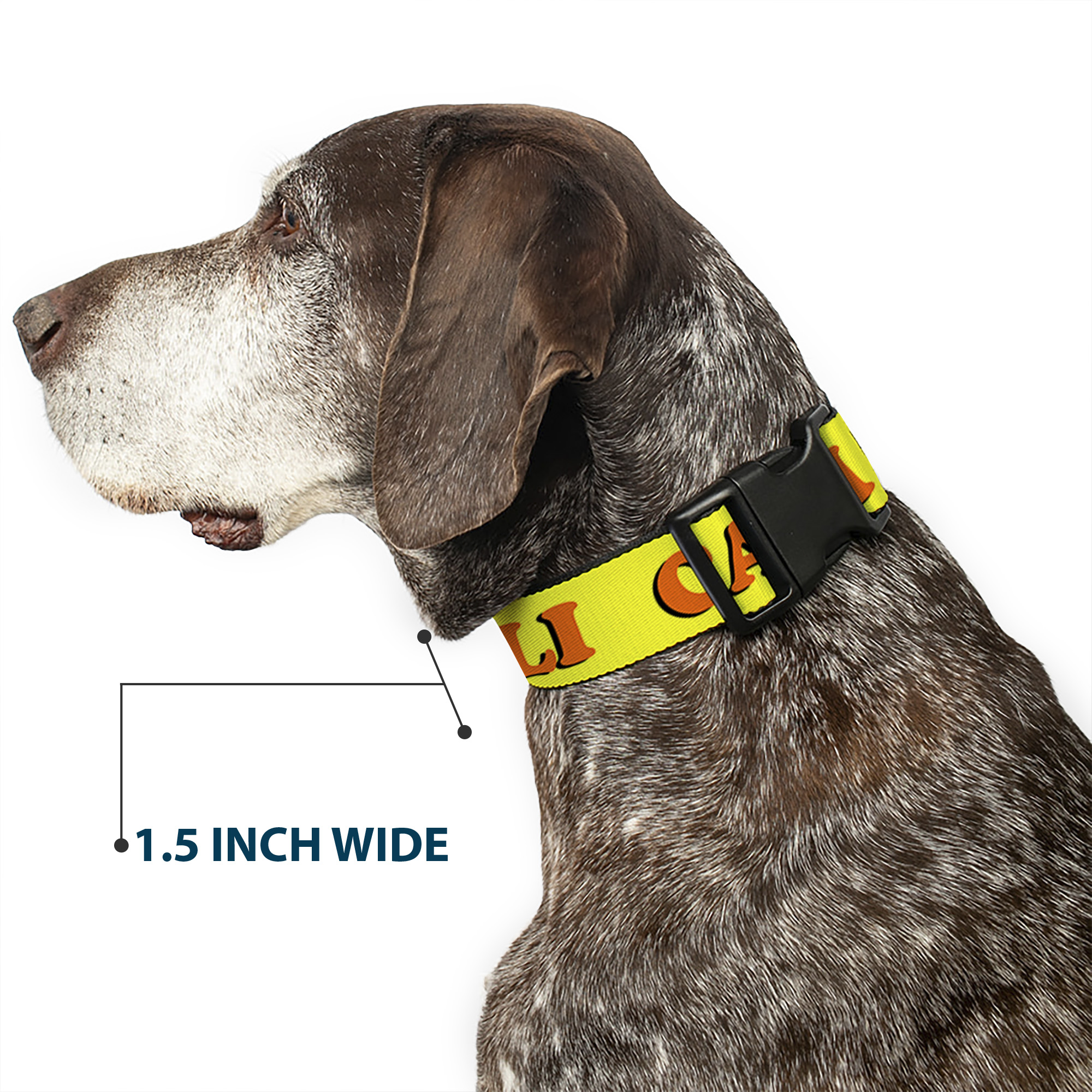 Plastic Clip Collar CALI Yellow/Orange Small 9.5-13"