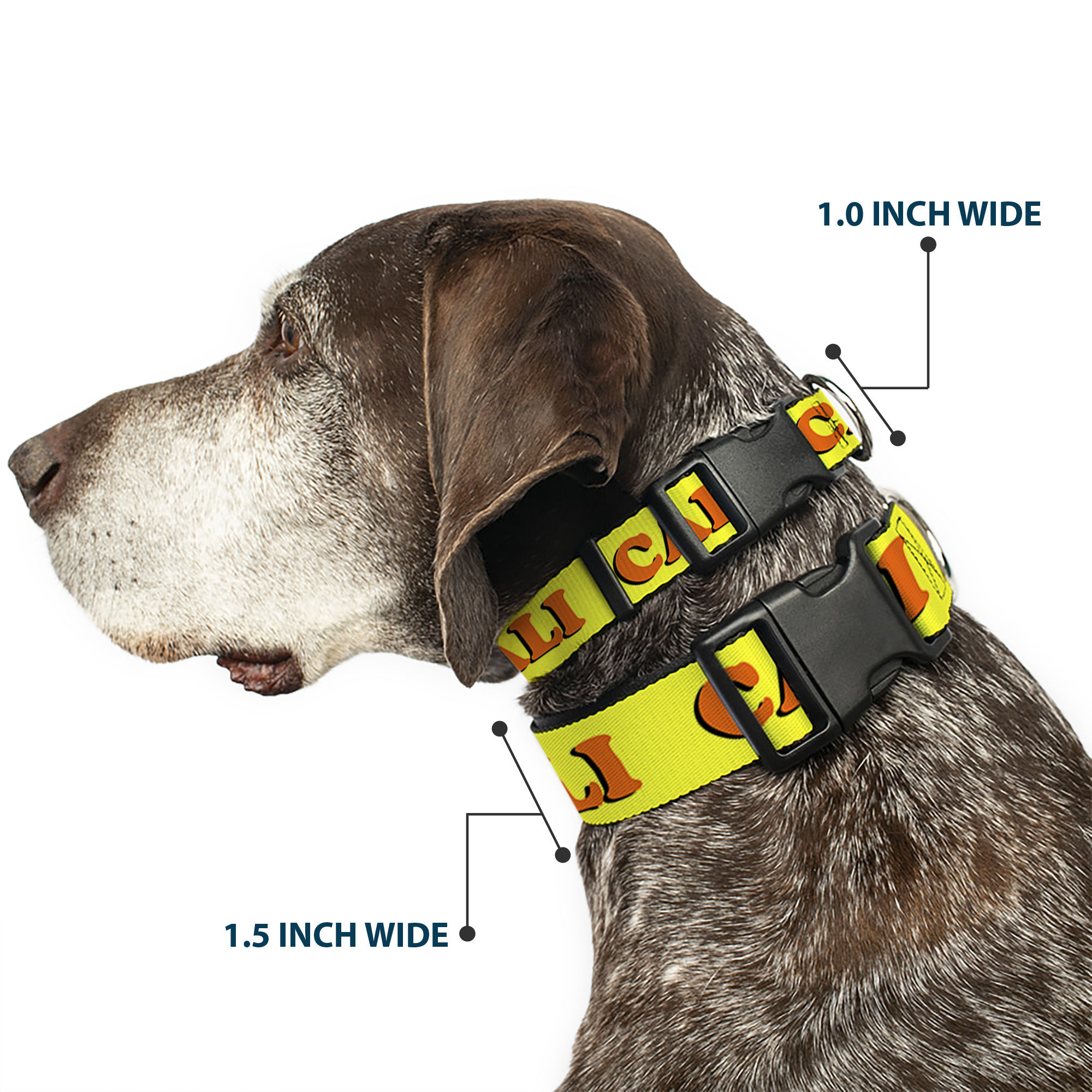 Plastic Clip Collar CALI Yellow/Orange Small 9.5-13"