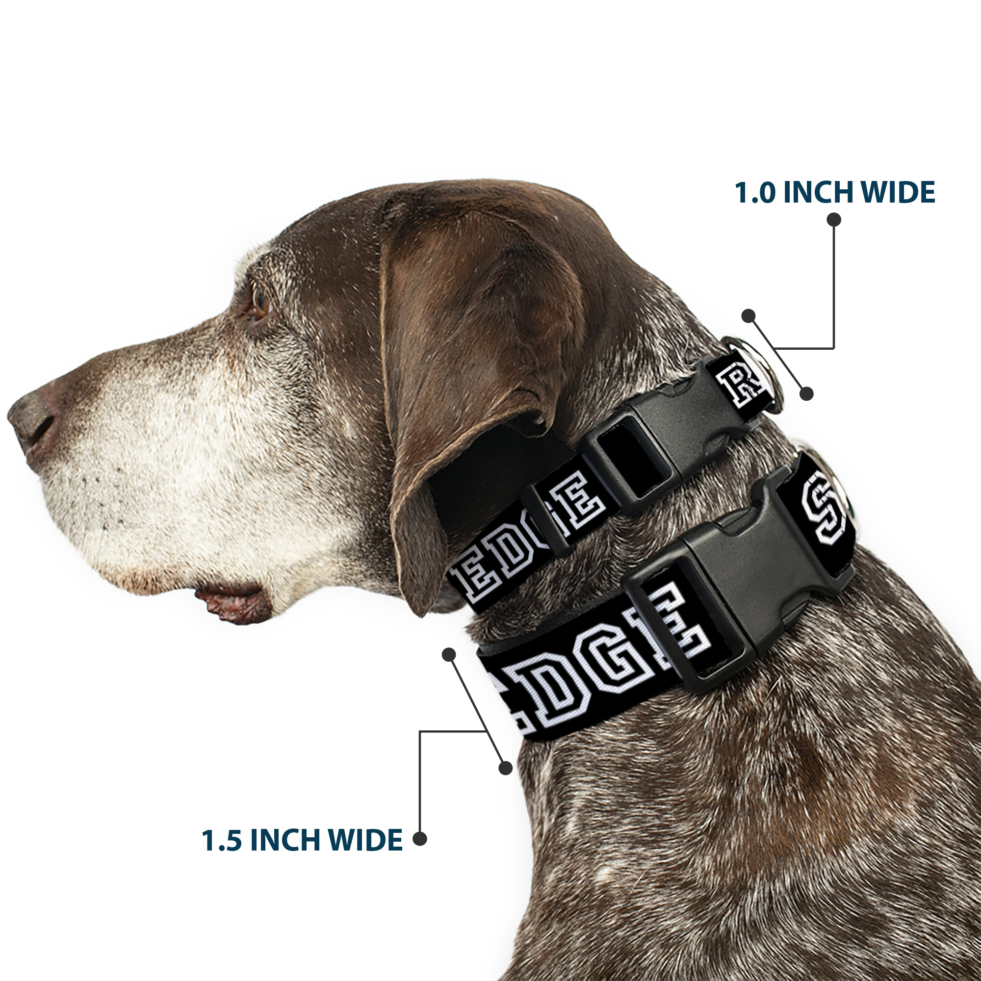 Plastic Clip Collar STRAIGHT EDGE Black/White Small 9.5-13"