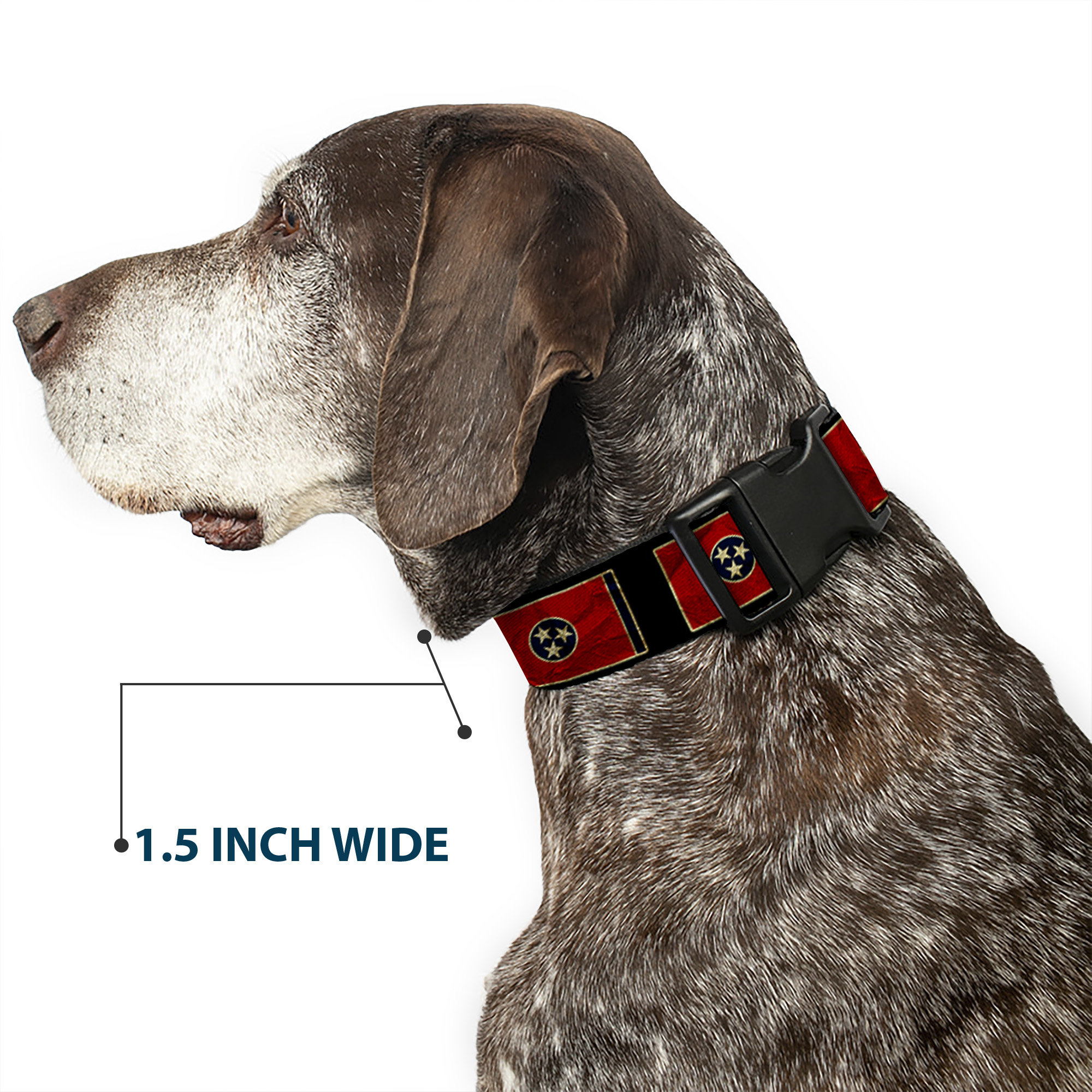 Plastic Clip Collar Tennessee Flag/Black Distressed Medium 11-16.5"