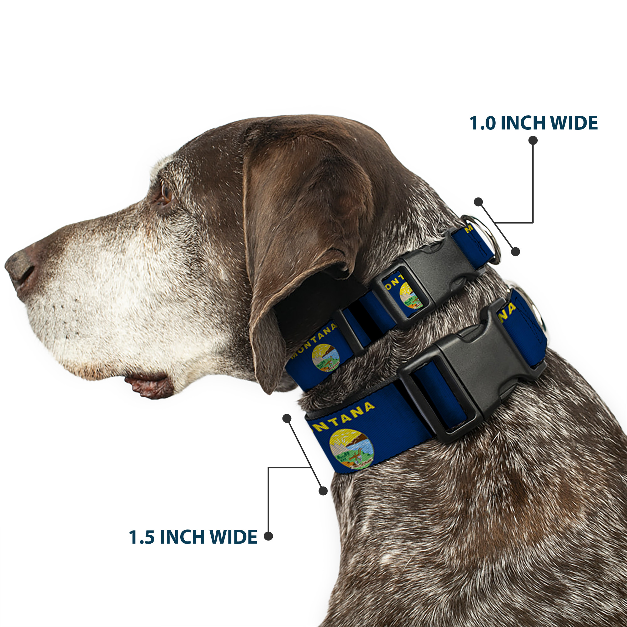 Plastic Clip Collar Montana Flags2 Small 9.5-13"