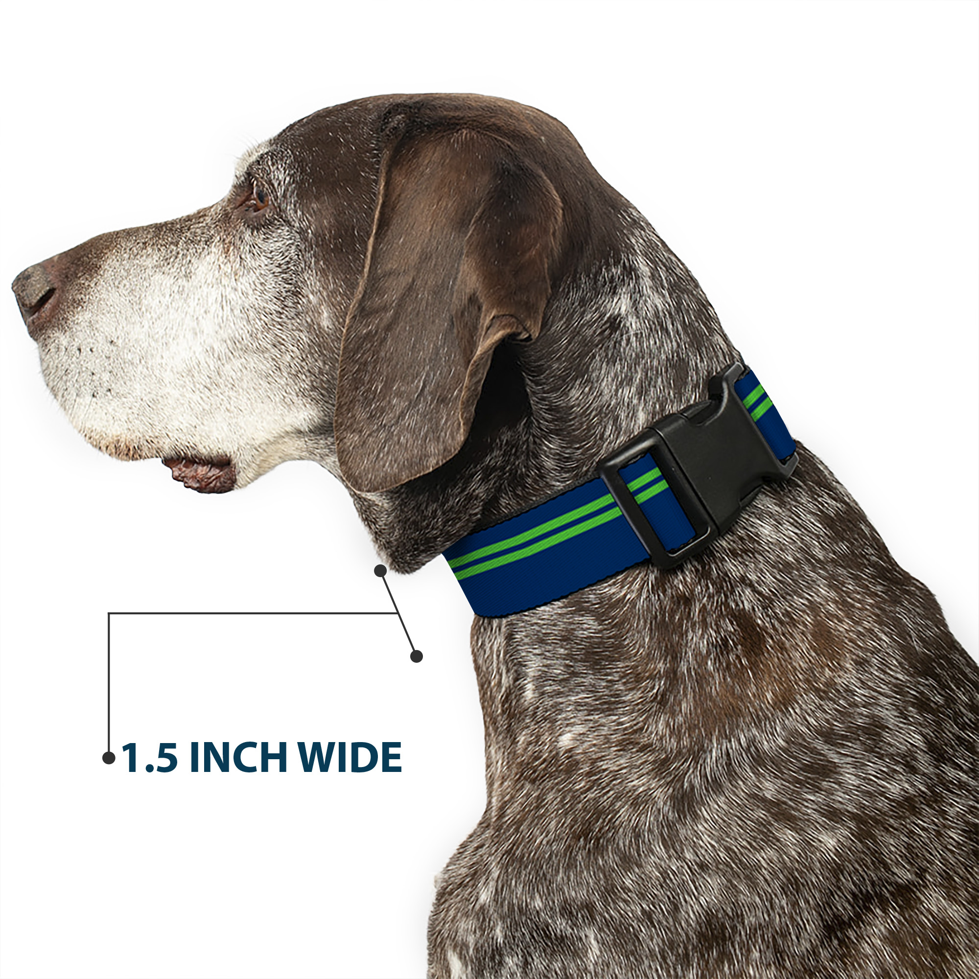 Plastic Clip Collar Racing Stripe Navy/Bright Green Small 9.5-13"
