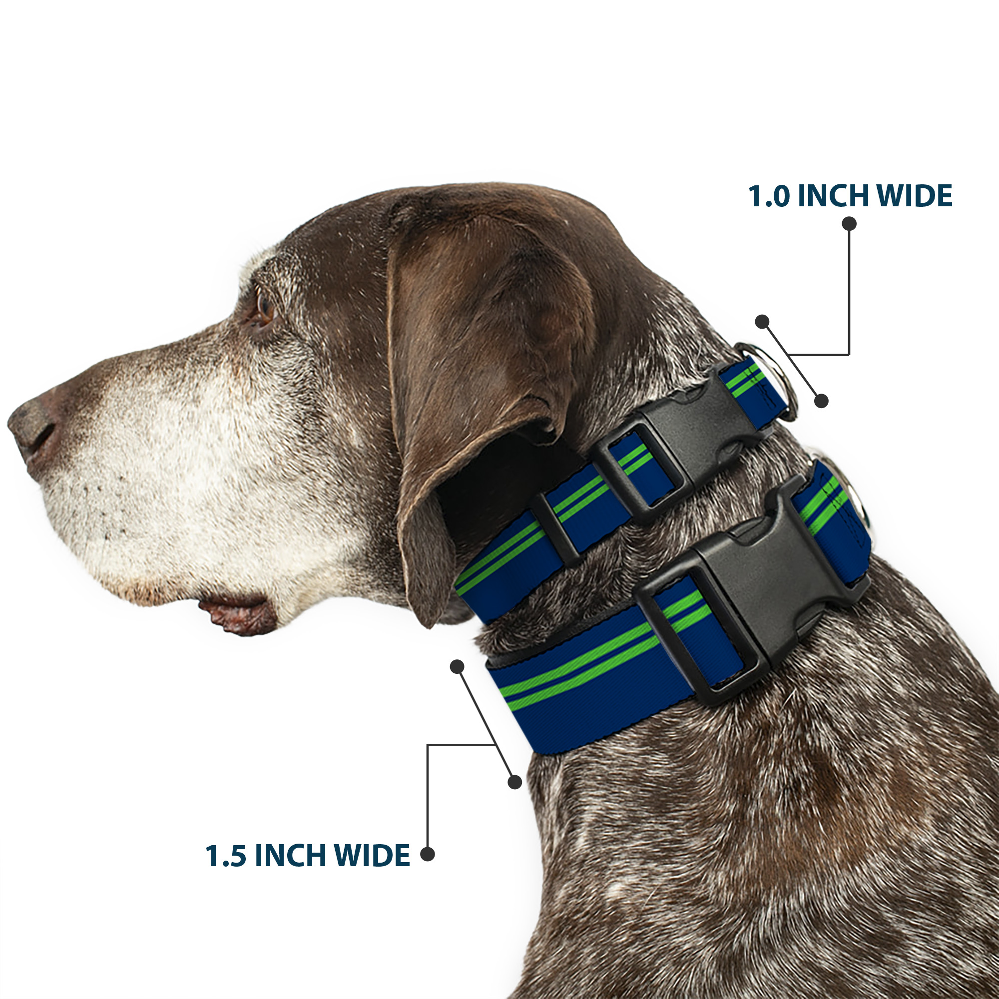 Plastic Clip Collar Racing Stripe Navy/Bright Green Small 9.5-13"