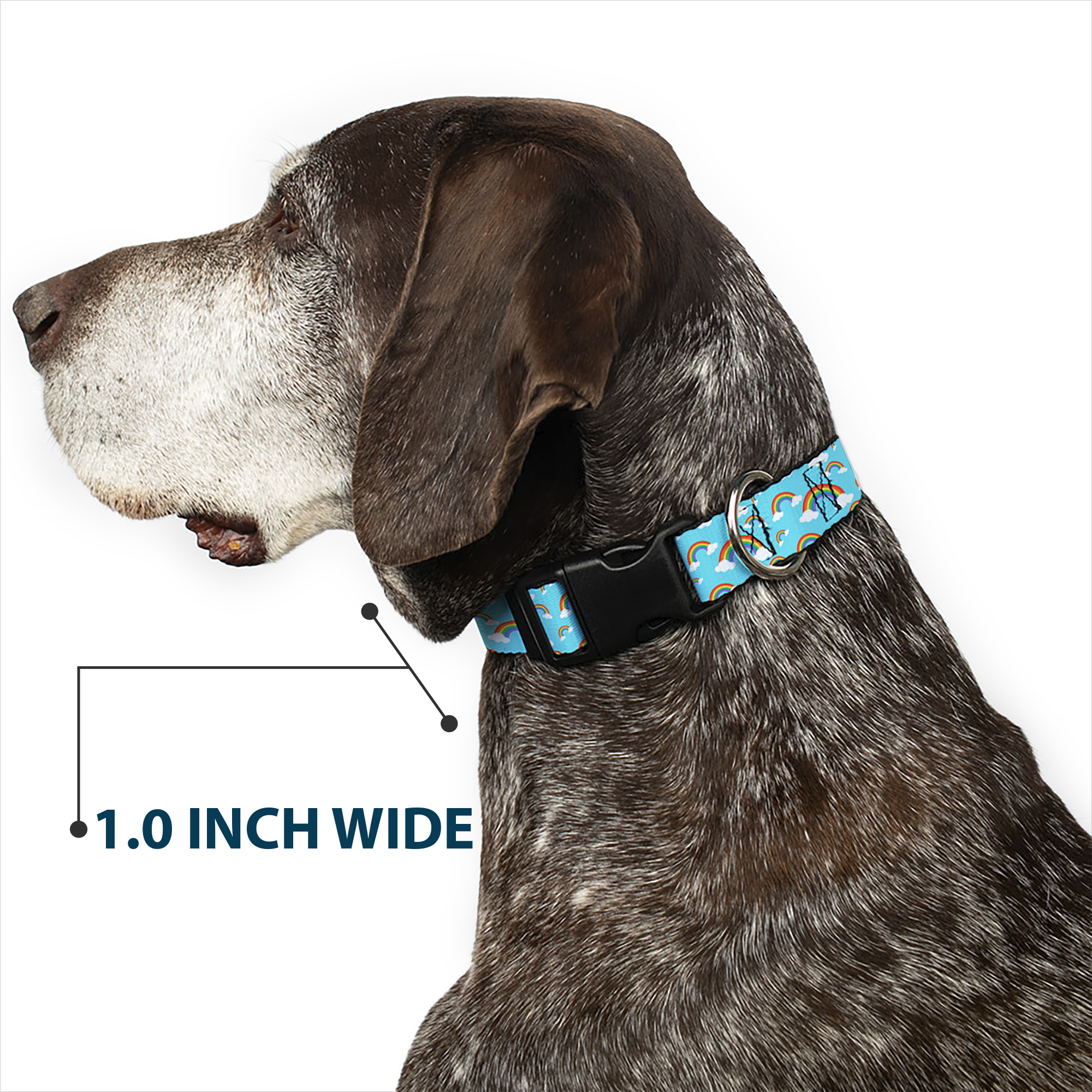 Plastic Clip Collar Rainbows Scattered Blue NARROW-Medium 8.5-12"