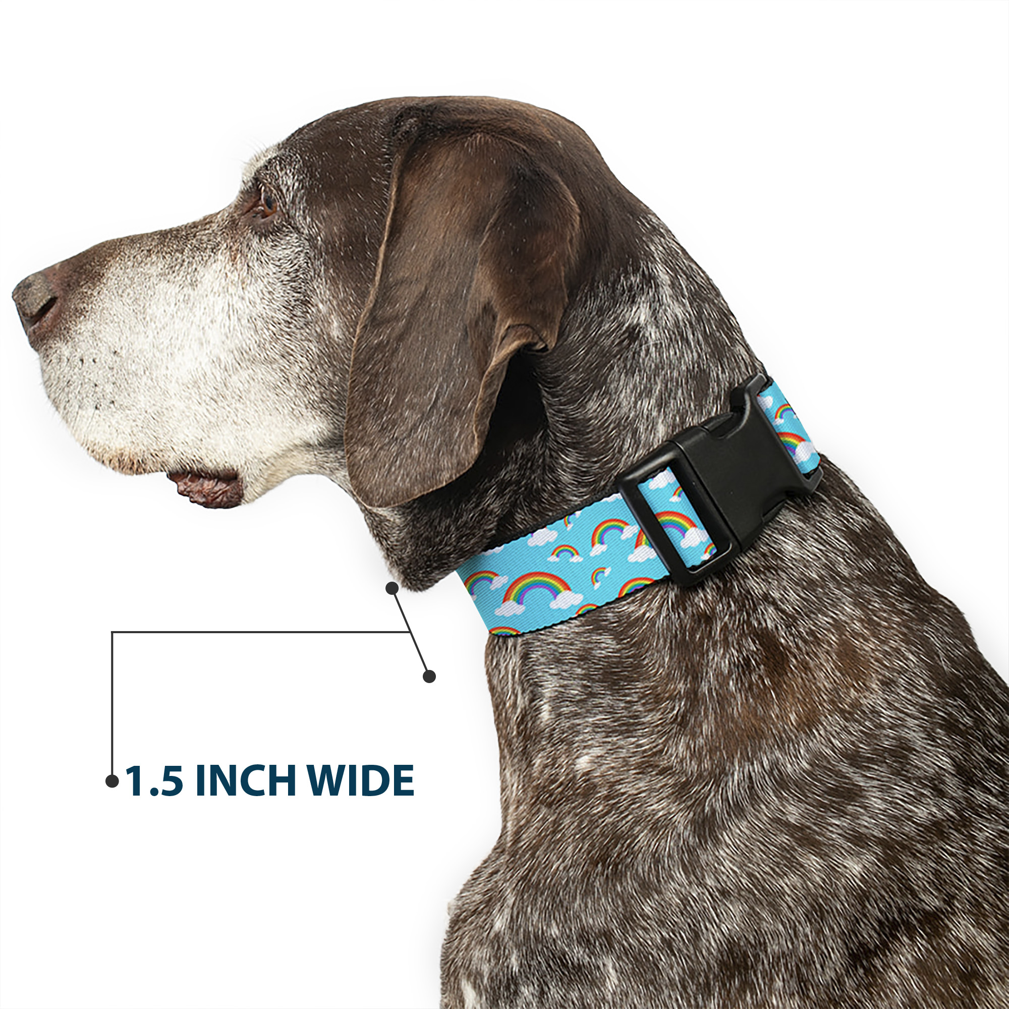 Plastic Clip Collar Rainbows Scattered Blue NARROW-Medium 8.5-12"