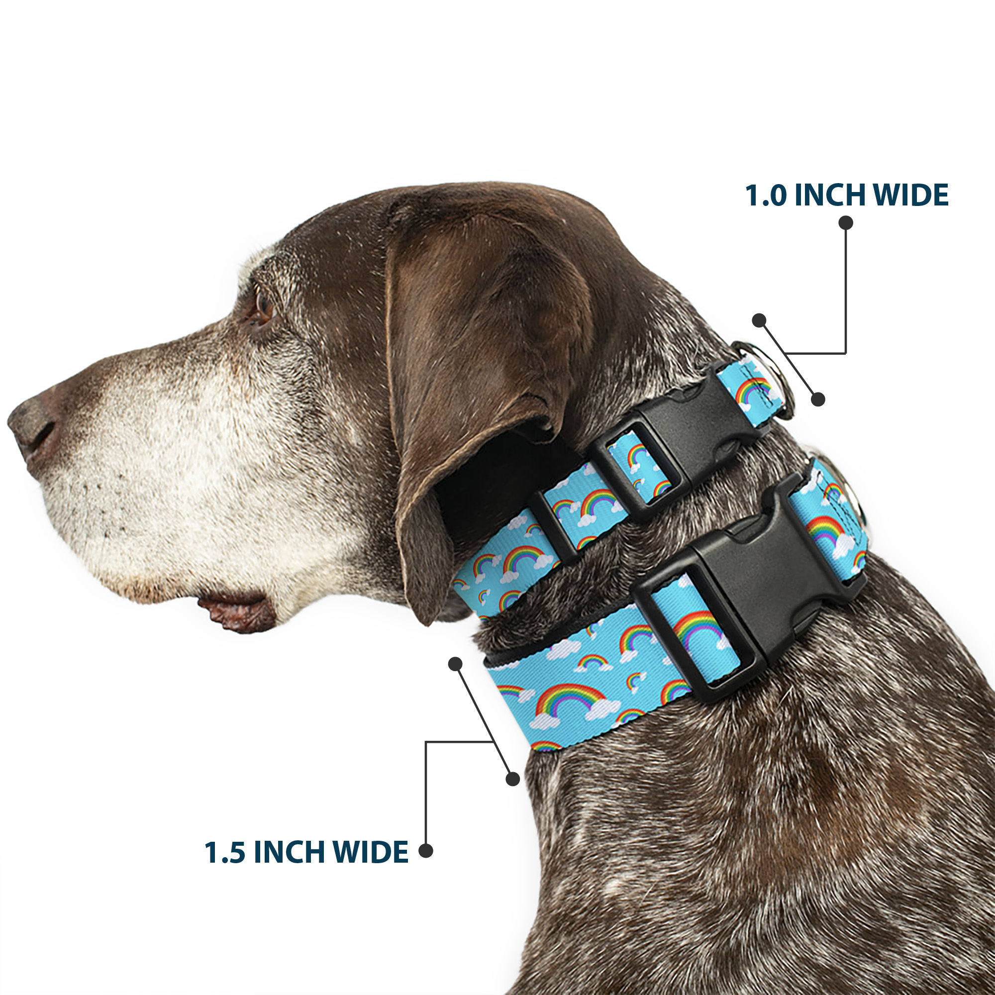 Plastic Clip Collar Rainbows Scattered Blue NARROW-Medium 8.5-12"