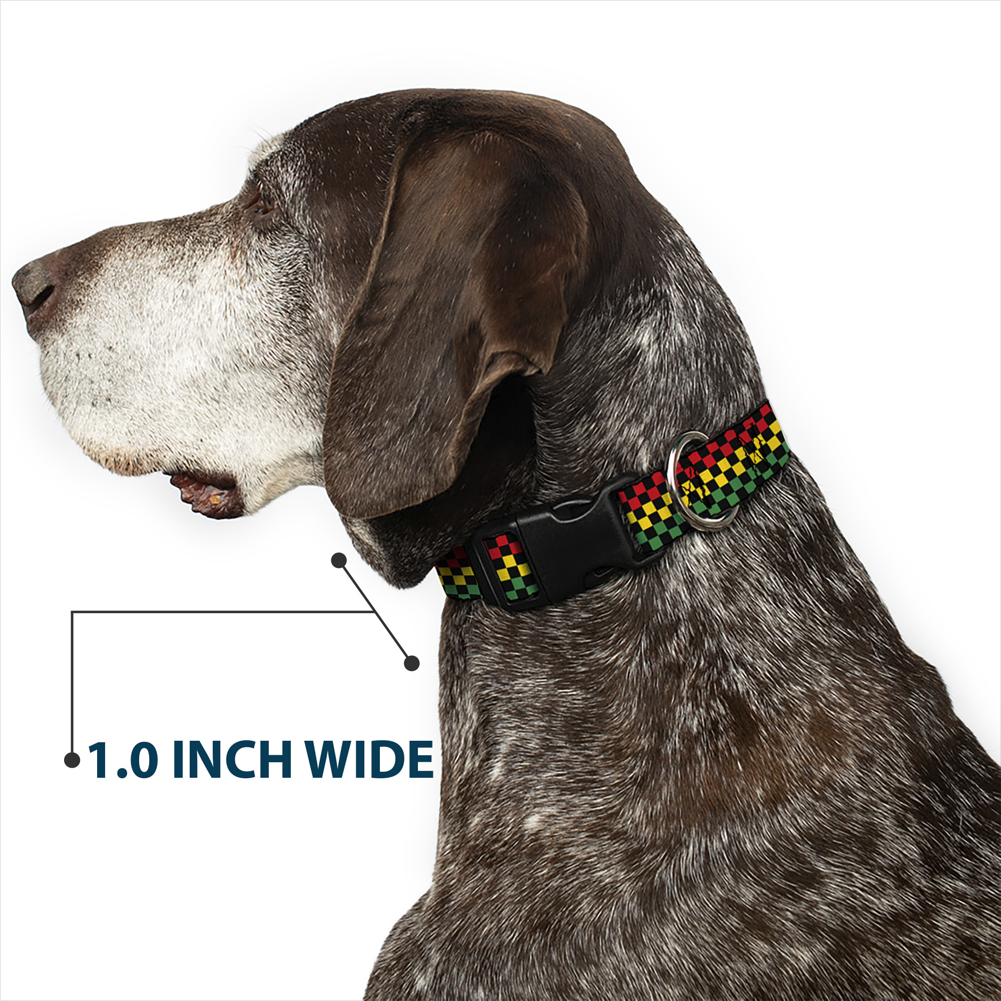 Plastic Clip Collar Checker Black/Rasta Large 15-24"