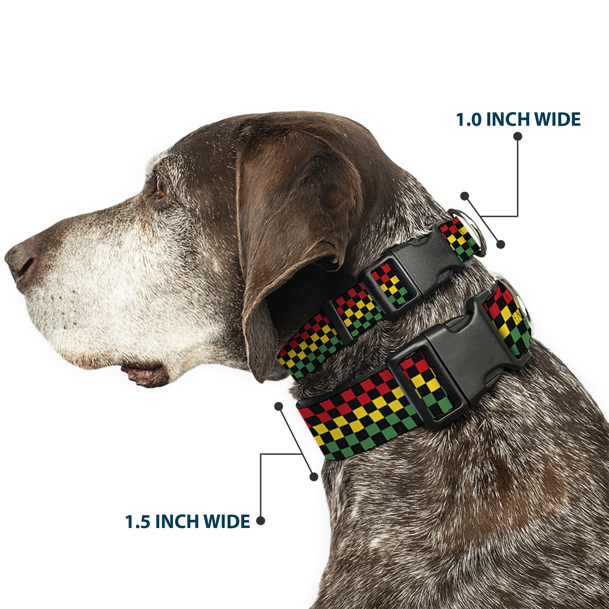 Plastic Clip Collar Checker Black/Rasta Large 15-24"