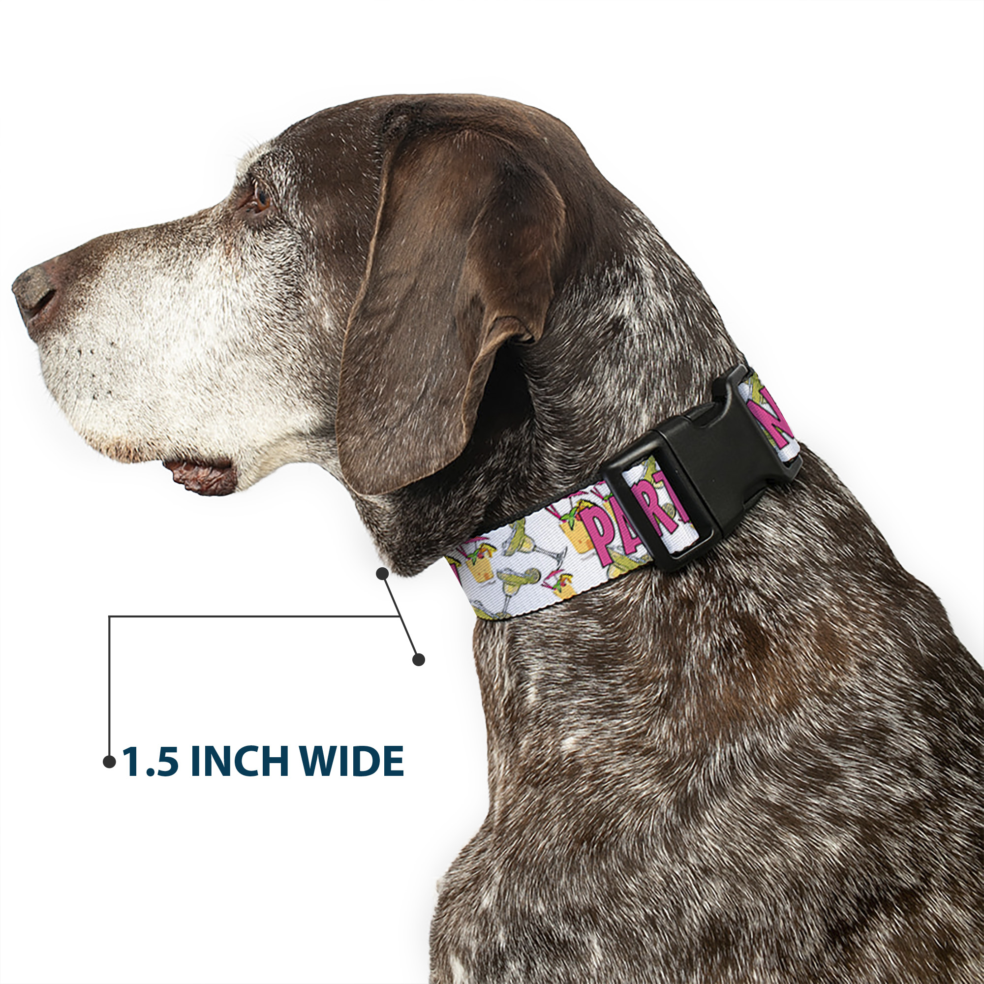 Plastic Clip Collar PARTY TIME! w/Drinks NARROW-Small 7-8.5"