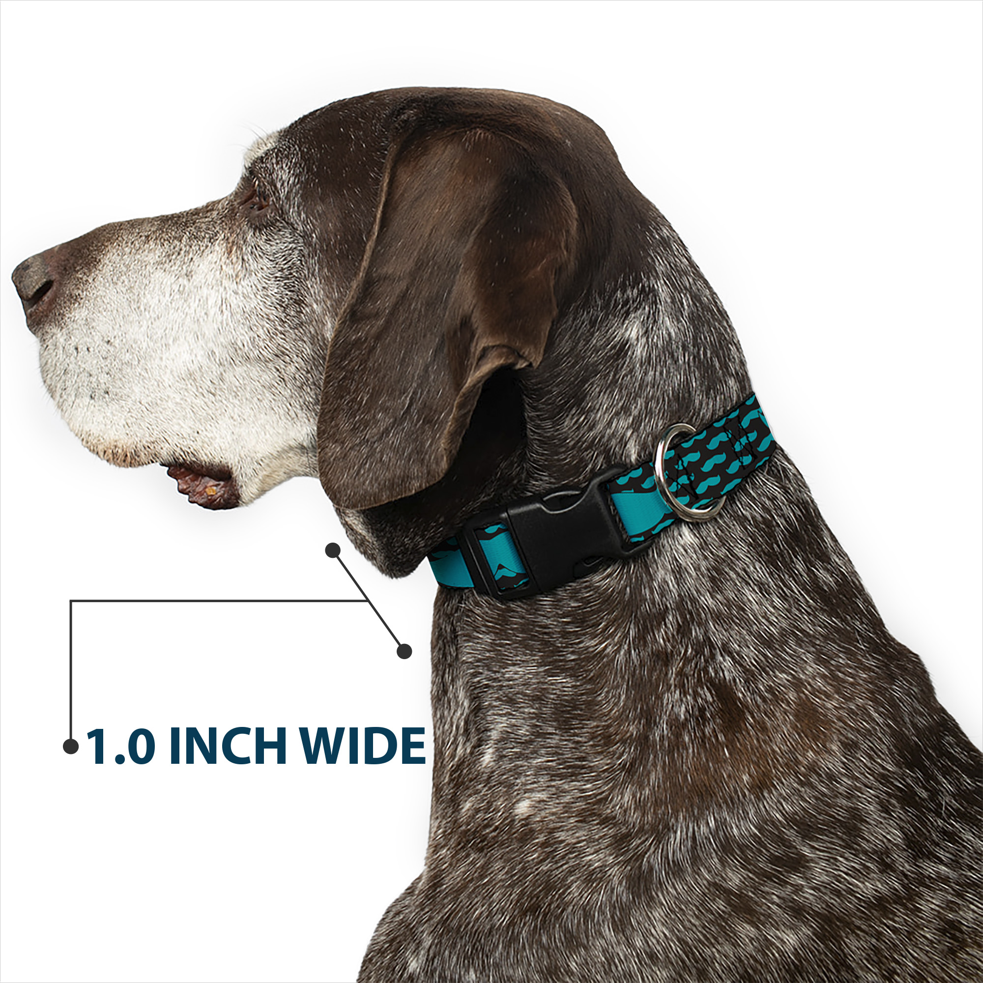 Plastic Clip Collar Mustaches Mini/Single Repeat Black/Turquoise Large 15-24"