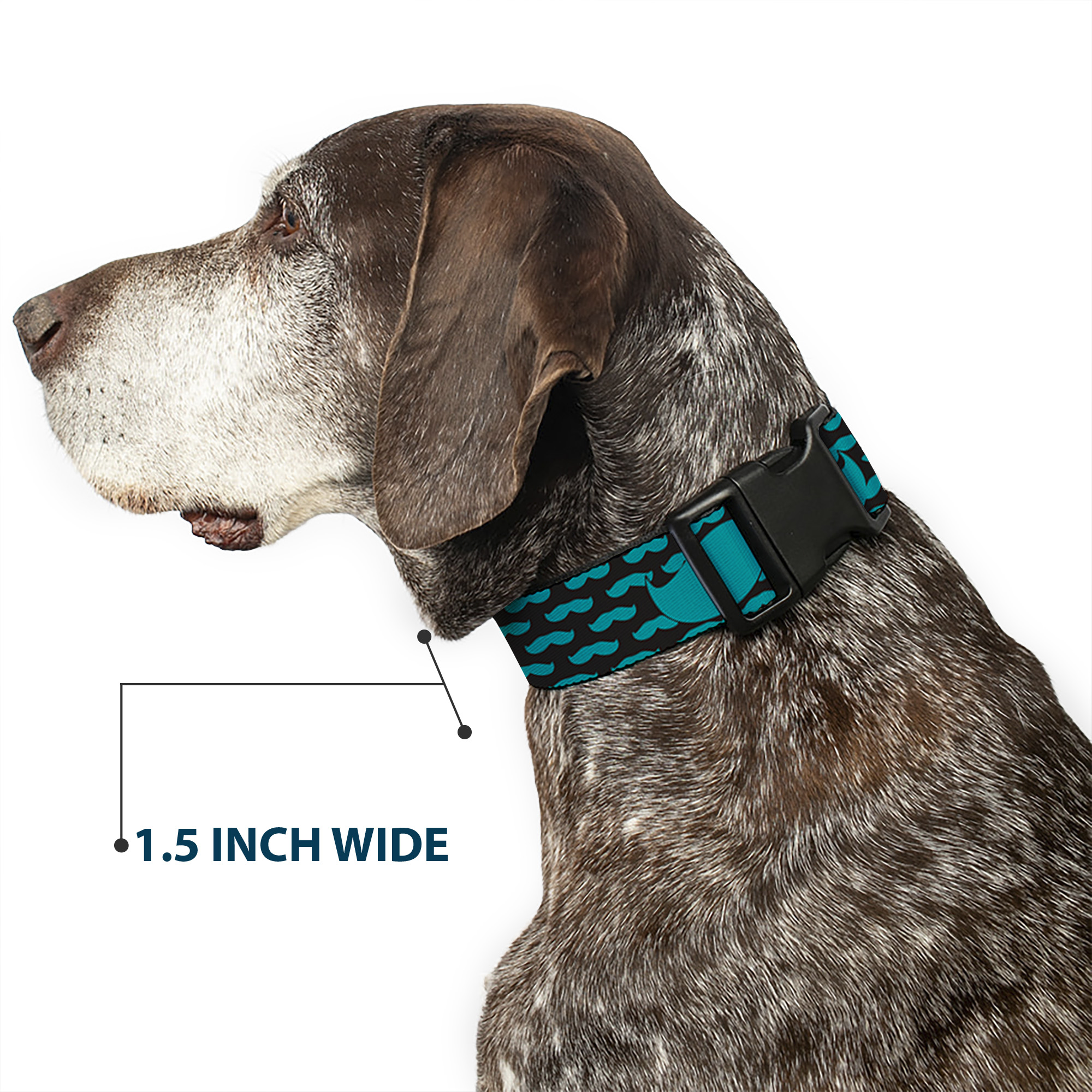 Plastic Clip Collar Mustaches Mini/Single Repeat Black/Turquoise Large 15-24"