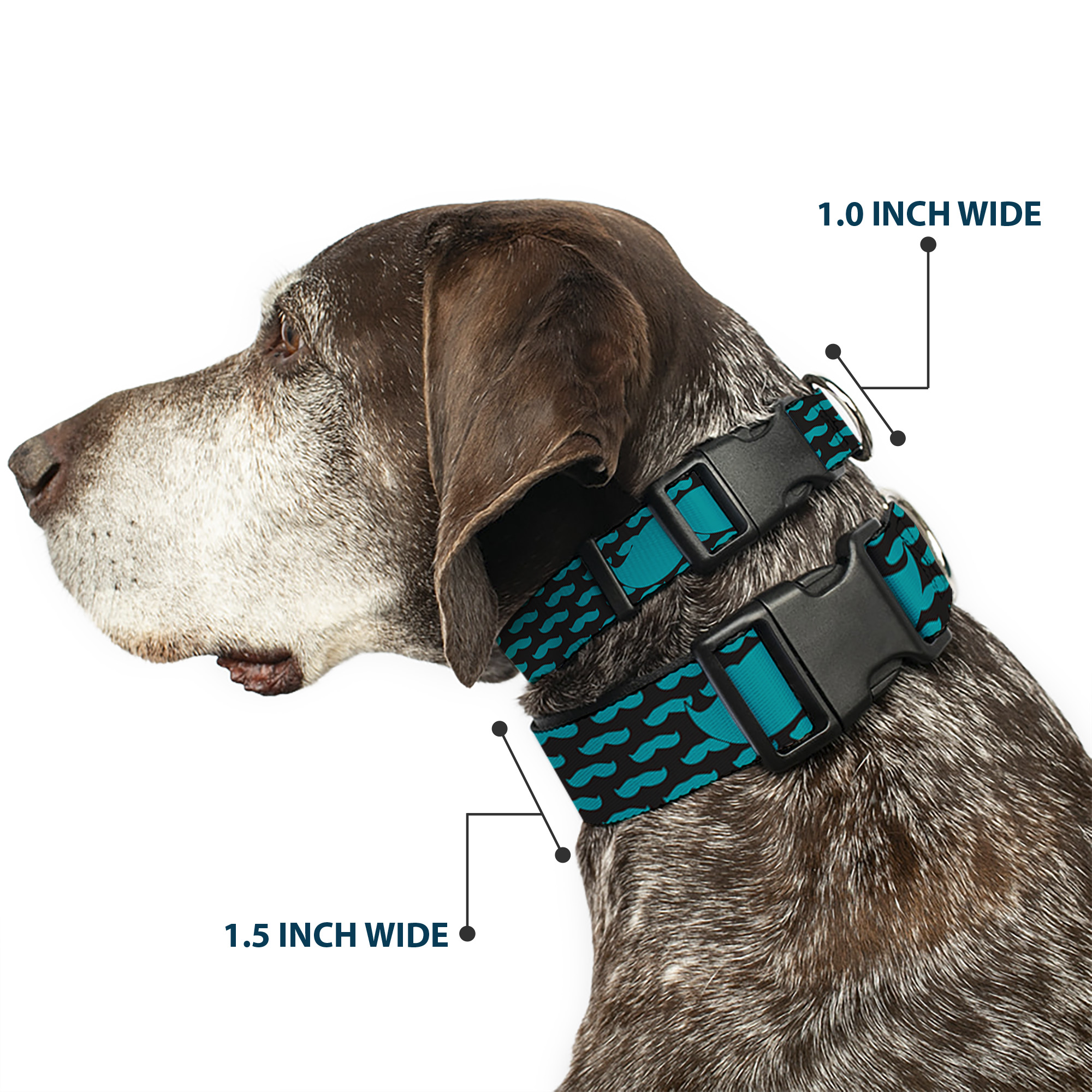Plastic Clip Collar Mustaches Mini/Single Repeat Black/Turquoise Large 15-24"