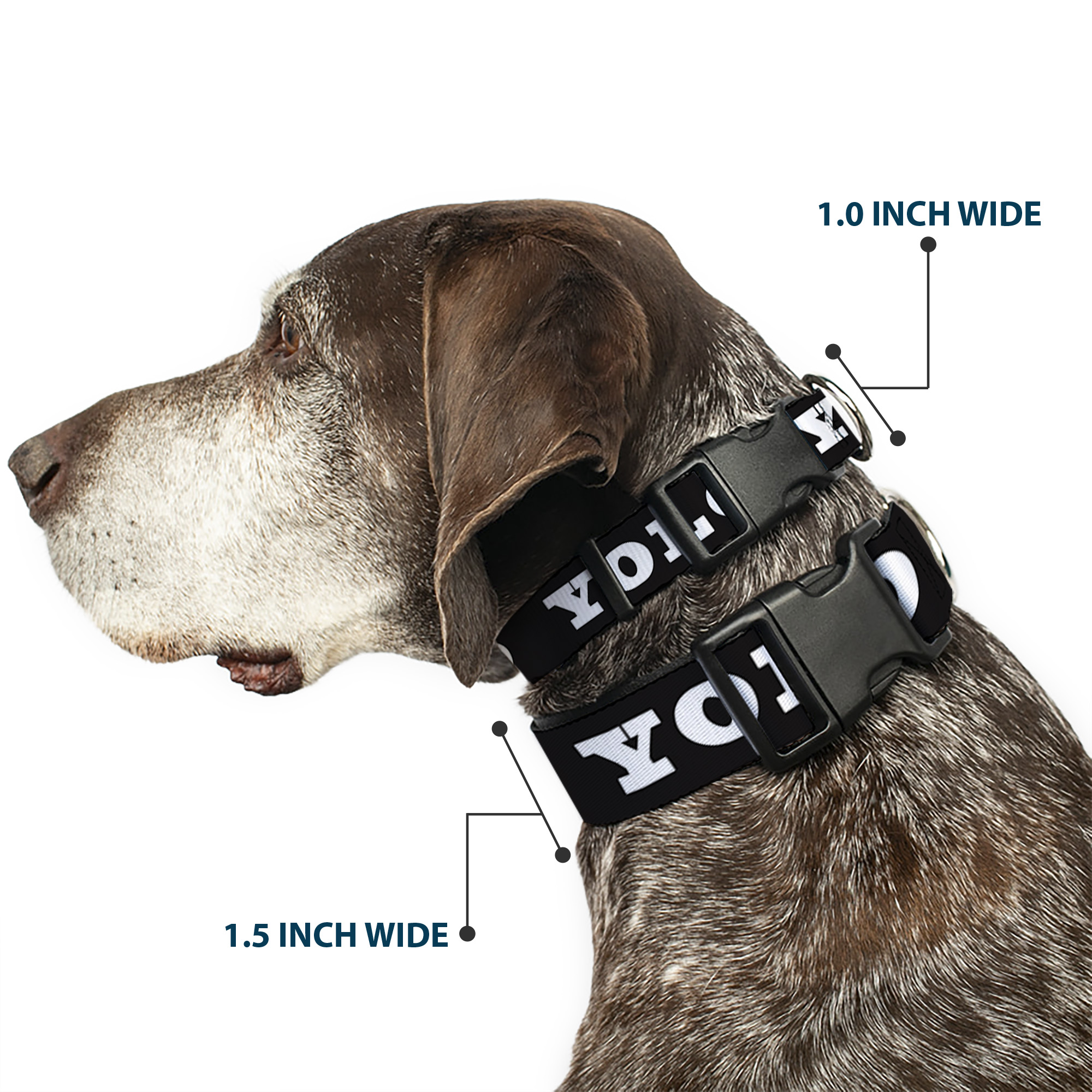 Plastic Clip Collar YOLO Bold Black/White Small 9.5-13"