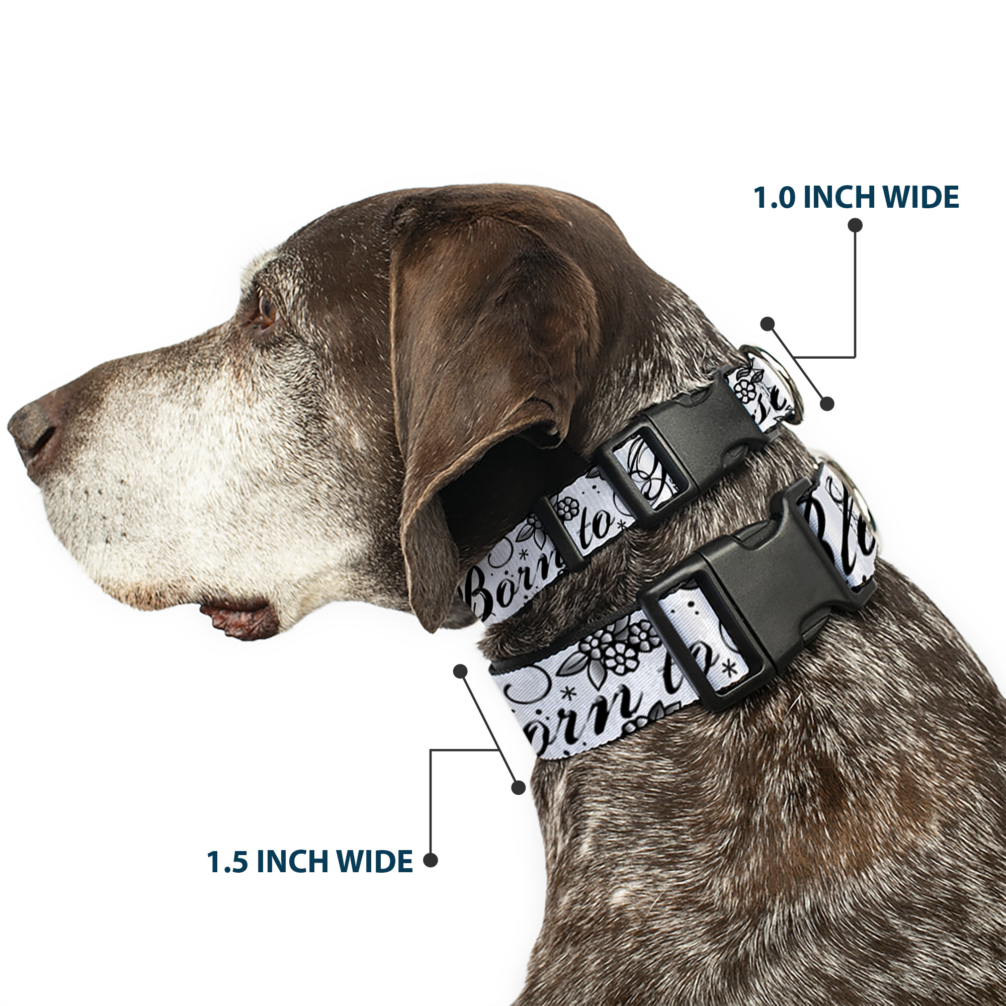 Plastic Clip Collar Born to Blossom Black/White NARROW-Large 9.5-14. (US IMPORT) - Produktbild 2