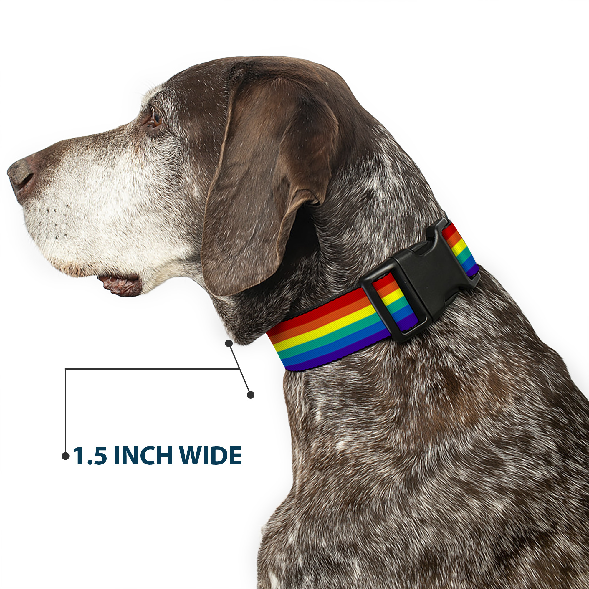 Plastic Clip Collar Rainbow Print Large 15-24"