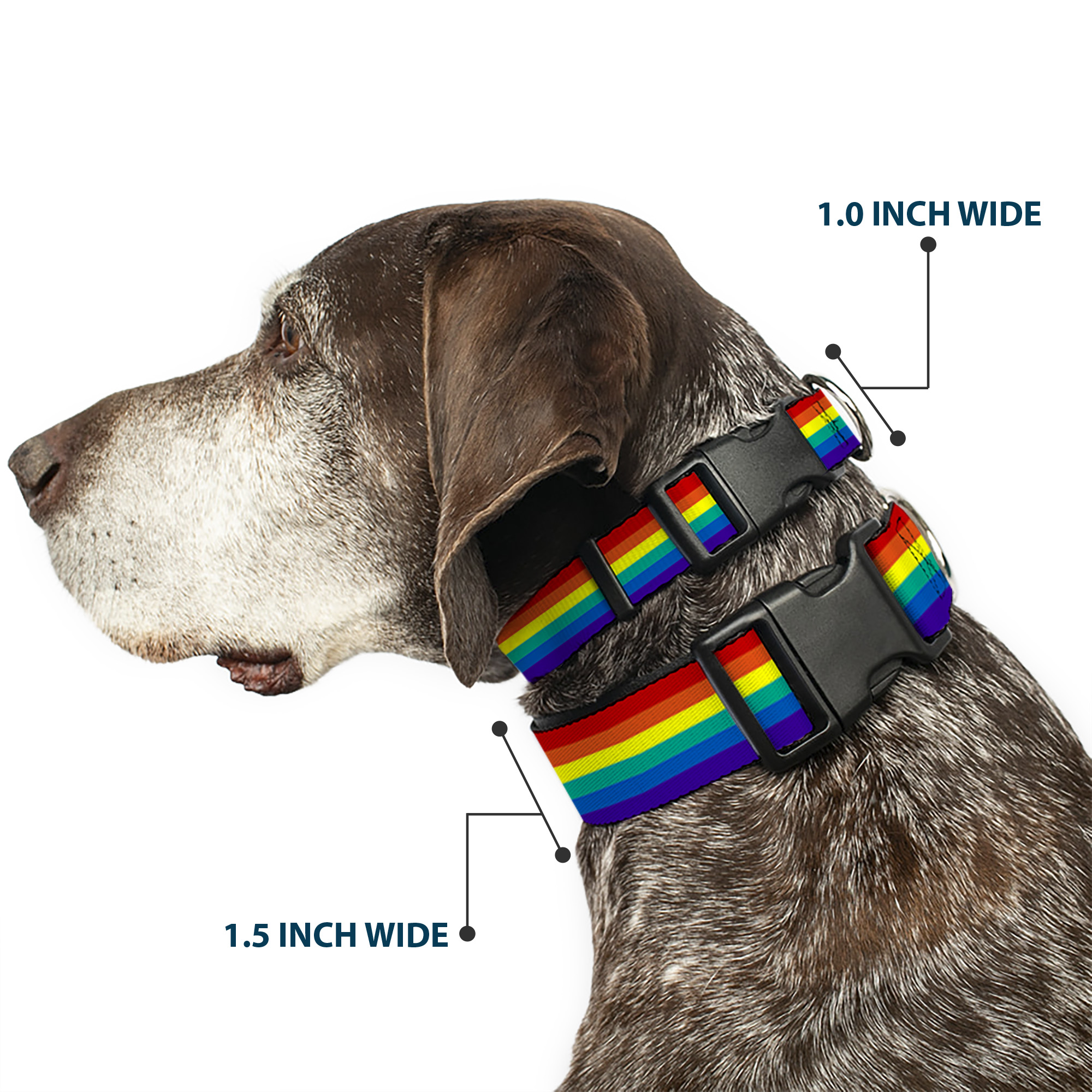 Plastic Clip Collar Rainbow Print Large 15-24"