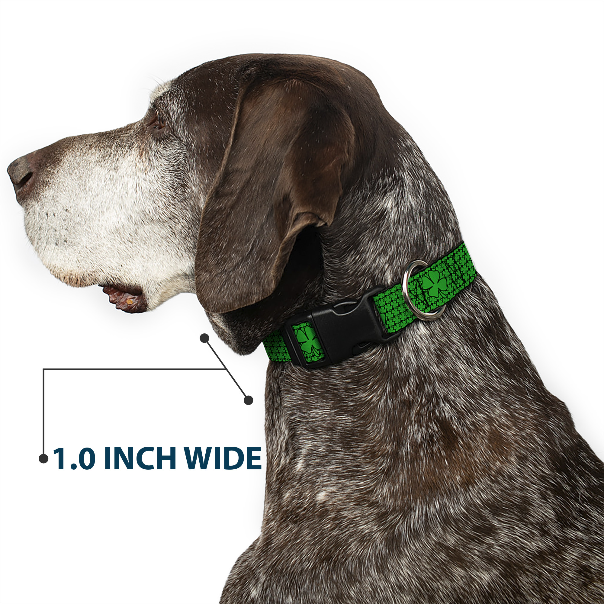 Plastic Clip Collar St. Pat's Clovers/Green Medium 11-16.5"
